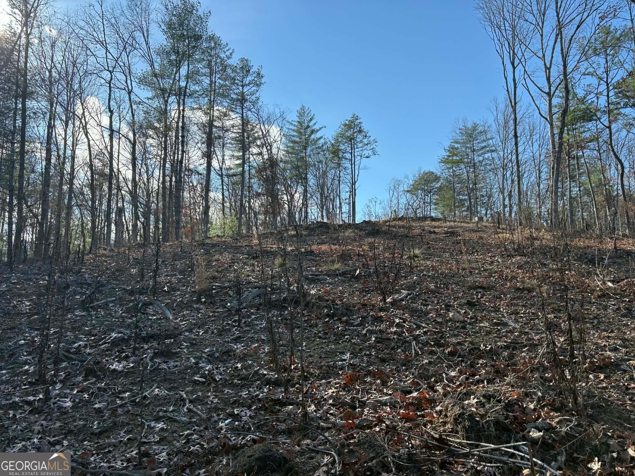 residential lot for sale at LOT 86 Lookout Ridge, Mineral Bluff, GA 30559 — photo 5