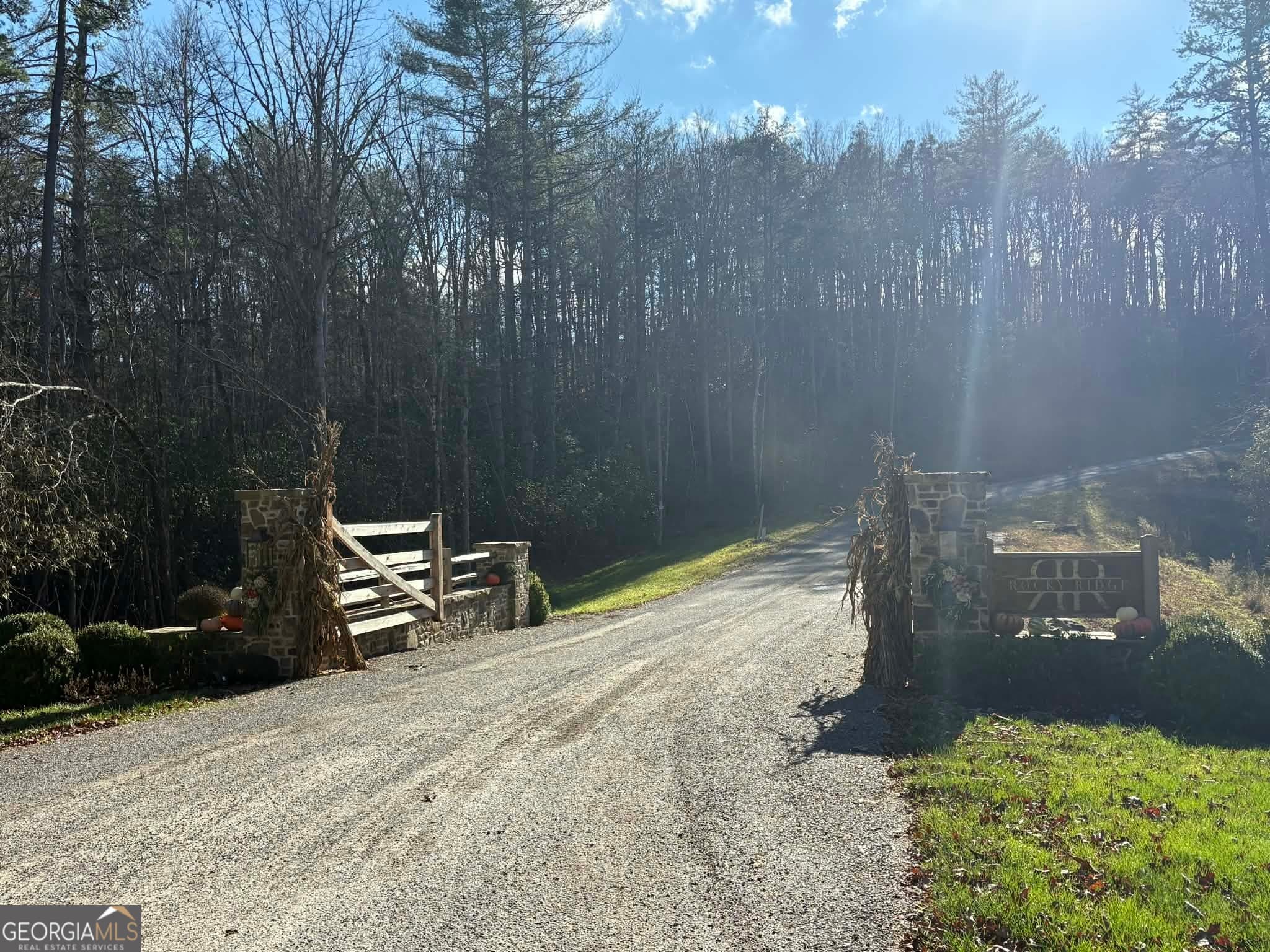residential lot for sale at LOT 86 Lookout Ridge, Mineral Bluff, GA 30559 — photo 9