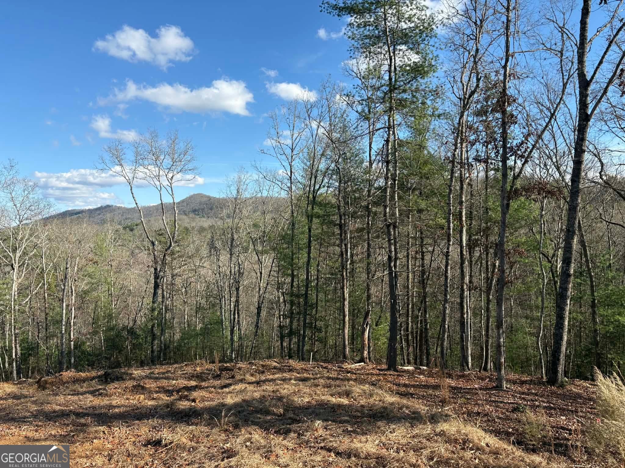 residential lot for sale at LOT 86 Lookout Ridge, Mineral Bluff, GA 30559 — photo 4