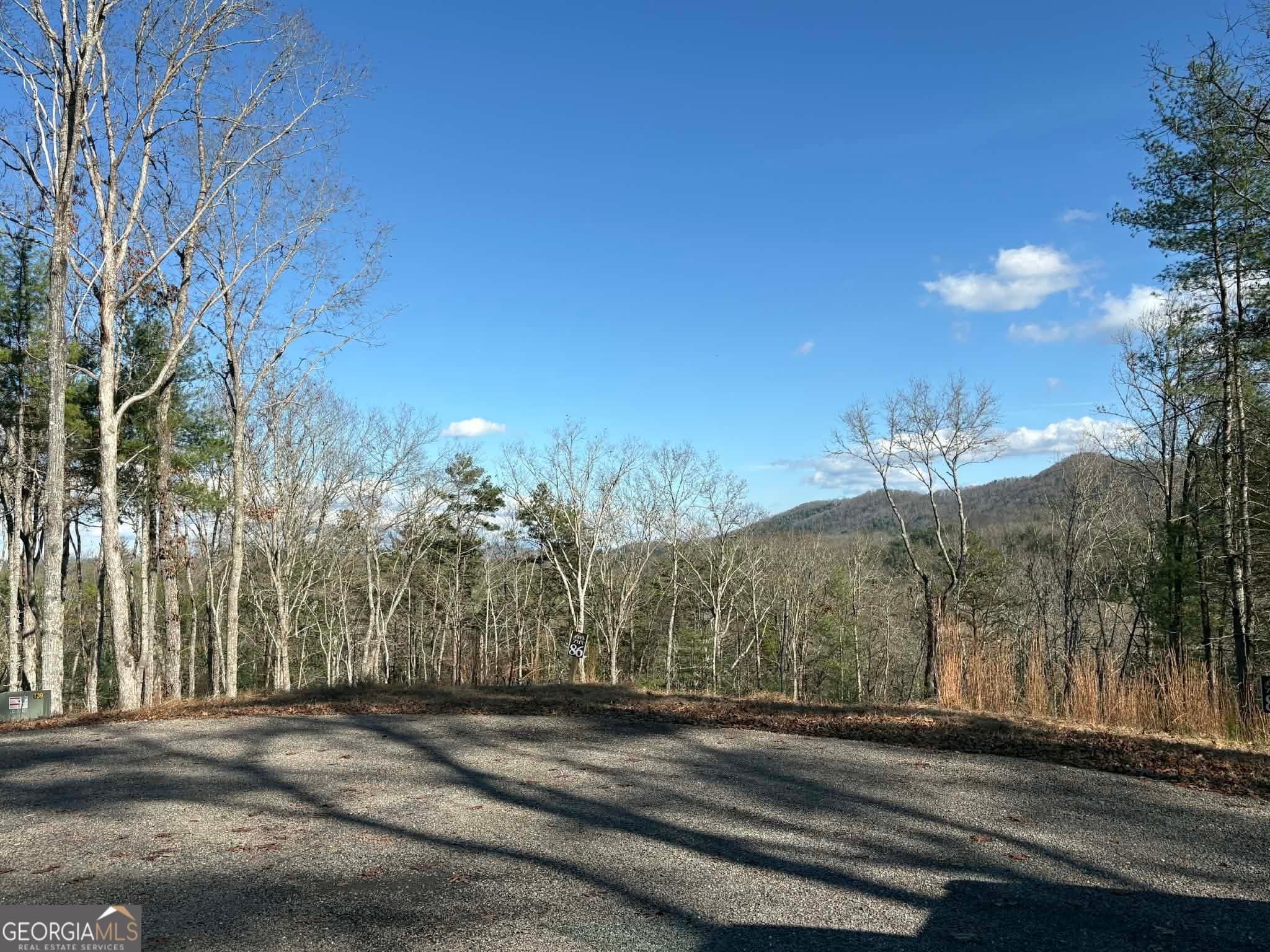 residential lot for sale at LOT 86 Lookout Ridge, Mineral Bluff, GA 30559 — photo 8