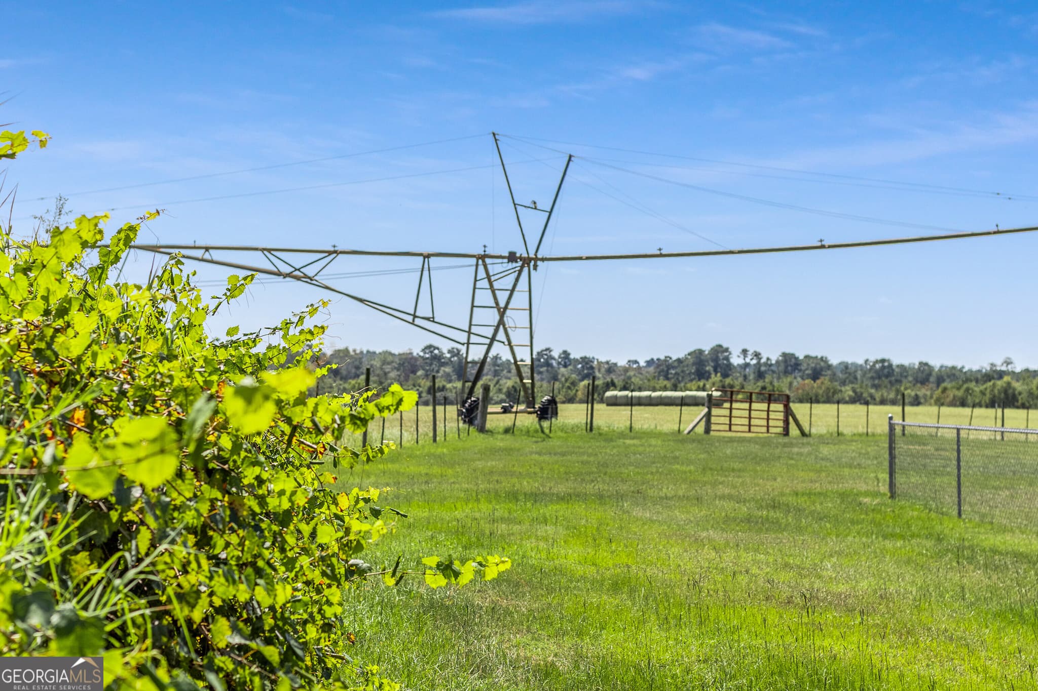 4 bedroom, 3 bathroom farm for sale at 1110 Us Highway 280, Reidsville, GA 30453 — photo 10
