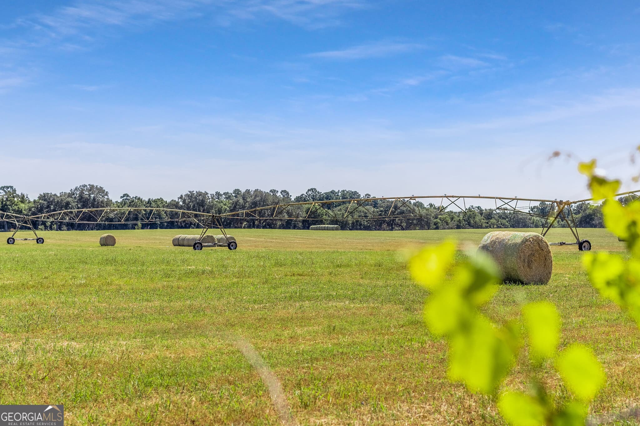 4 bedroom, 3 bathroom farm for sale at 1110 Us Highway 280, Reidsville, GA 30453 — photo 8