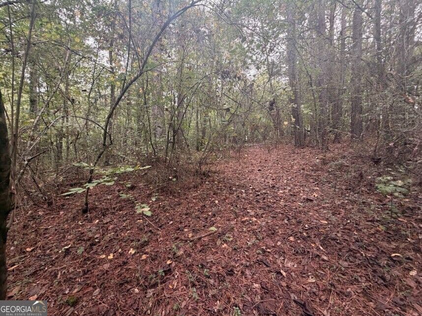 residential lot for sale at 0 Lebanon Church Road TRACT 3, Jefferson, GA 30549 — photo 6