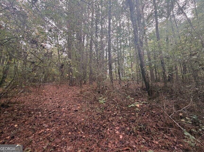 residential lot for sale at 0 Lebanon Church Road TRACT 3, Jefferson, GA 30549 — photo 7