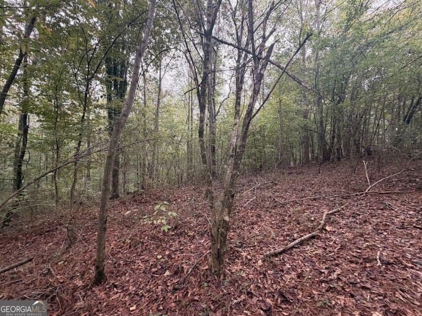 residential lot for sale at 0 Lebanon Church Road TRACT 3, Jefferson, GA 30549 — photo 3