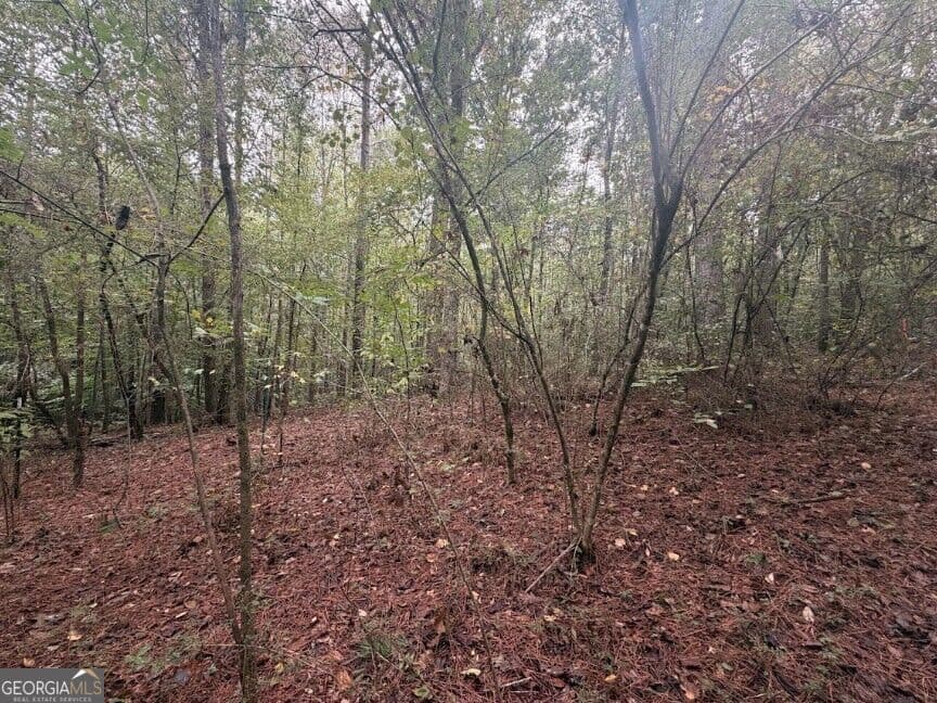 residential lot for sale at 0 Lebanon Church Road TRACT 3, Jefferson, GA 30549 — photo 5