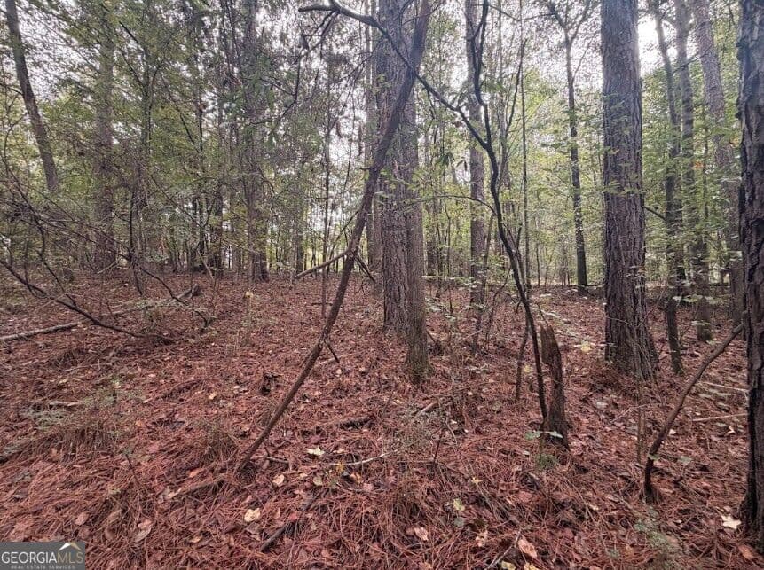 residential lot for sale at 0 Lebanon Church Road TRACT 3, Jefferson, GA 30549 — photo 9