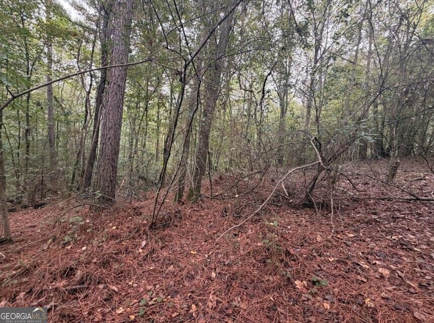 residential lot for sale at 0 Lebanon Church Road TRACT 3, Jefferson, GA 30549 — photo 10