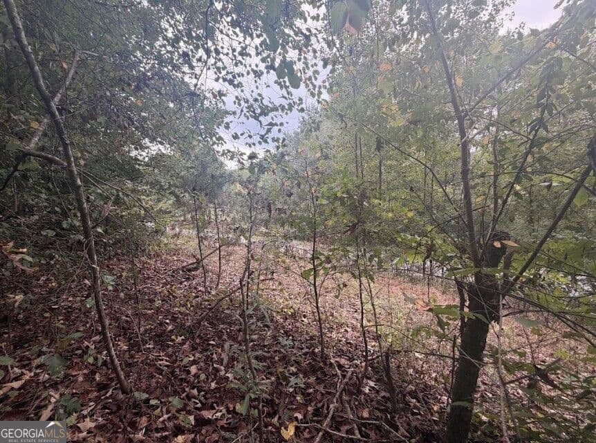 residential lot for sale at 0 Lebanon Church Road TRACT 3, Jefferson, GA 30549 — photo 4