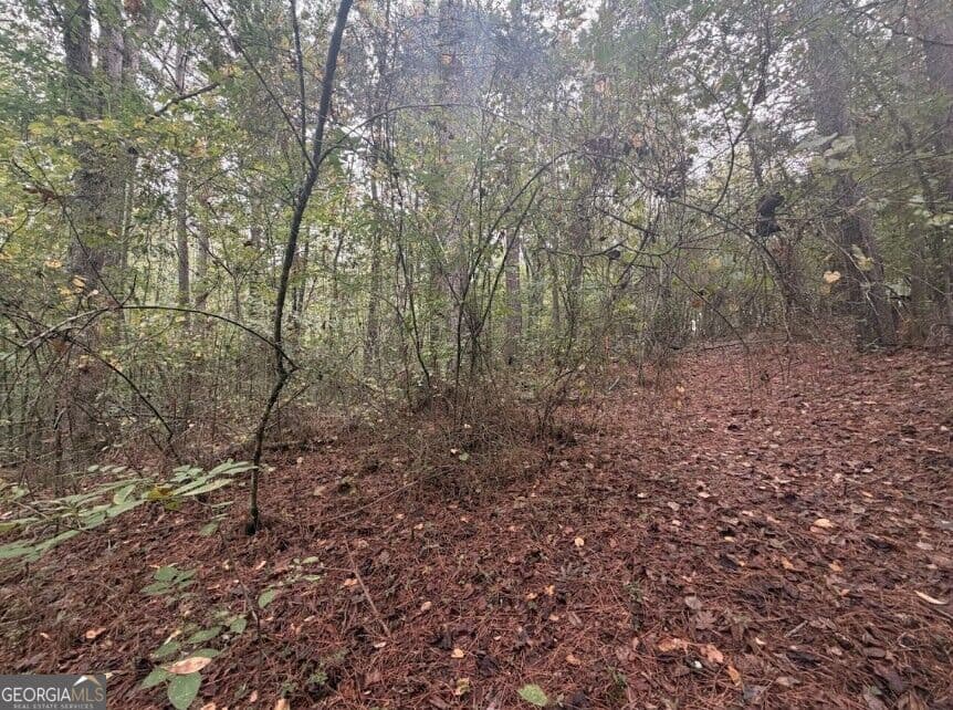 residential lot for sale at 0 Lebanon Church Road TRACT 3, Jefferson, GA 30549 — photo 8
