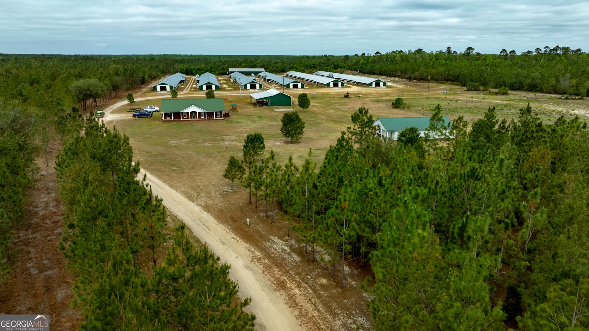 agriculture for sale at 2474 Rushing Boone Road, Reidsville, GA 30453 — photo 2