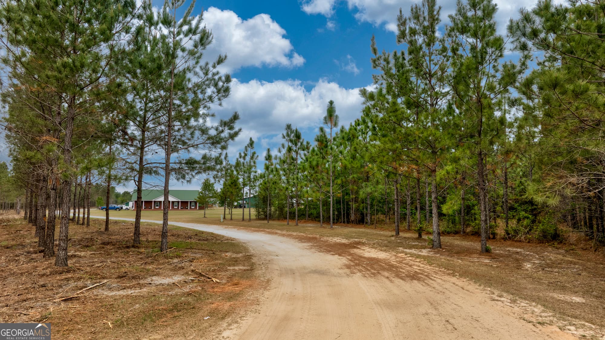 agriculture for sale at 2474 Rushing Boone Road, Reidsville, GA 30453