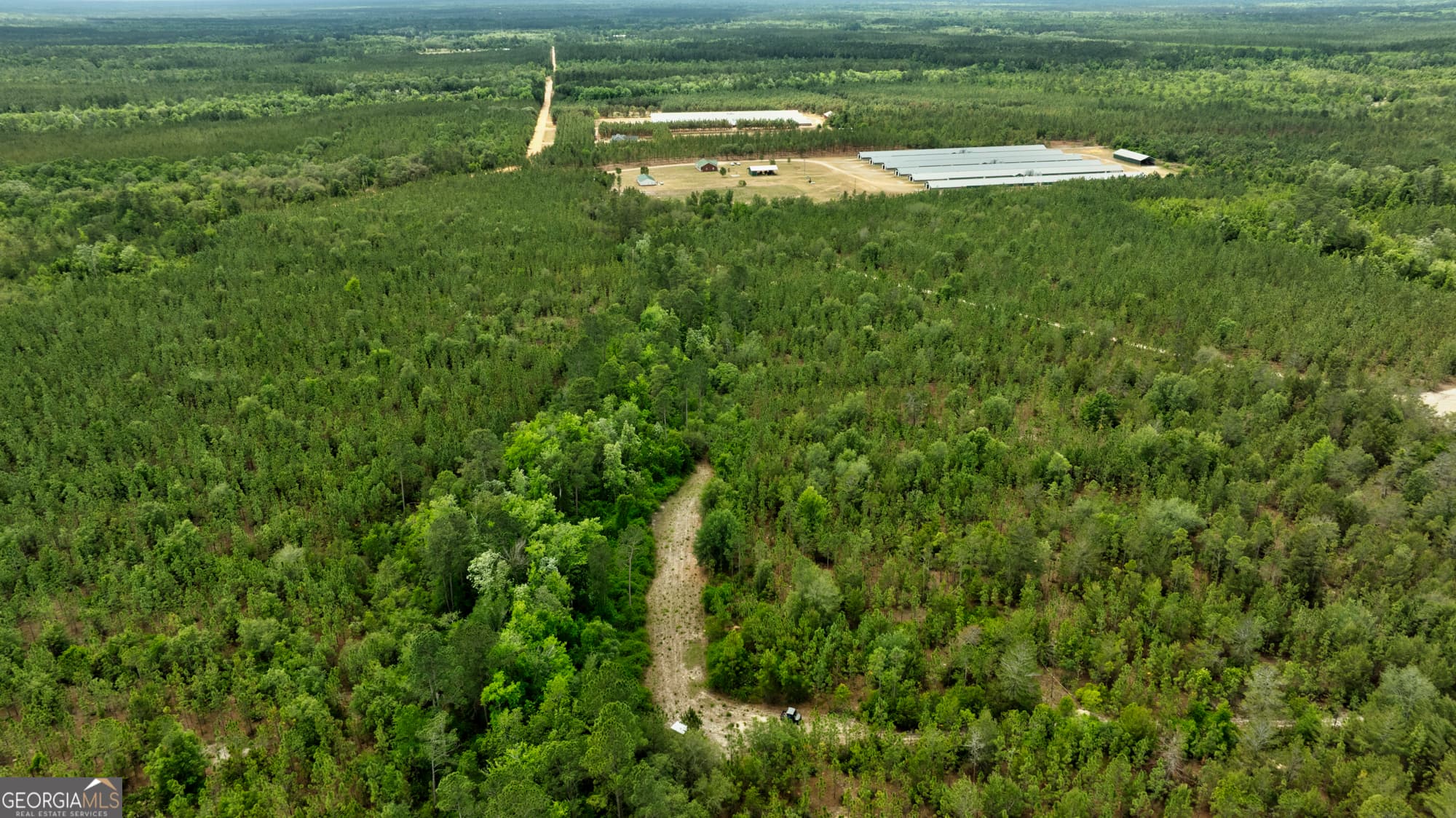 agriculture for sale at 2474 Rushing Boone Road, Reidsville, GA 30453 — photo 10
