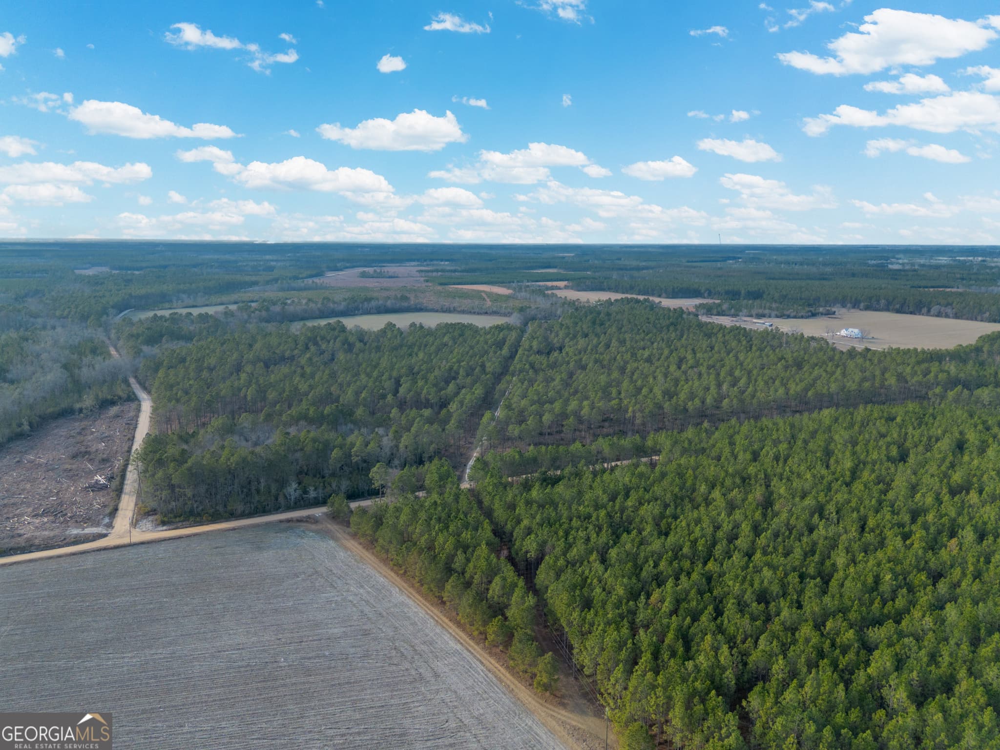 agriculture for sale at TRACT 3 Reddish Road, Odum, GA 31555 — photo 2