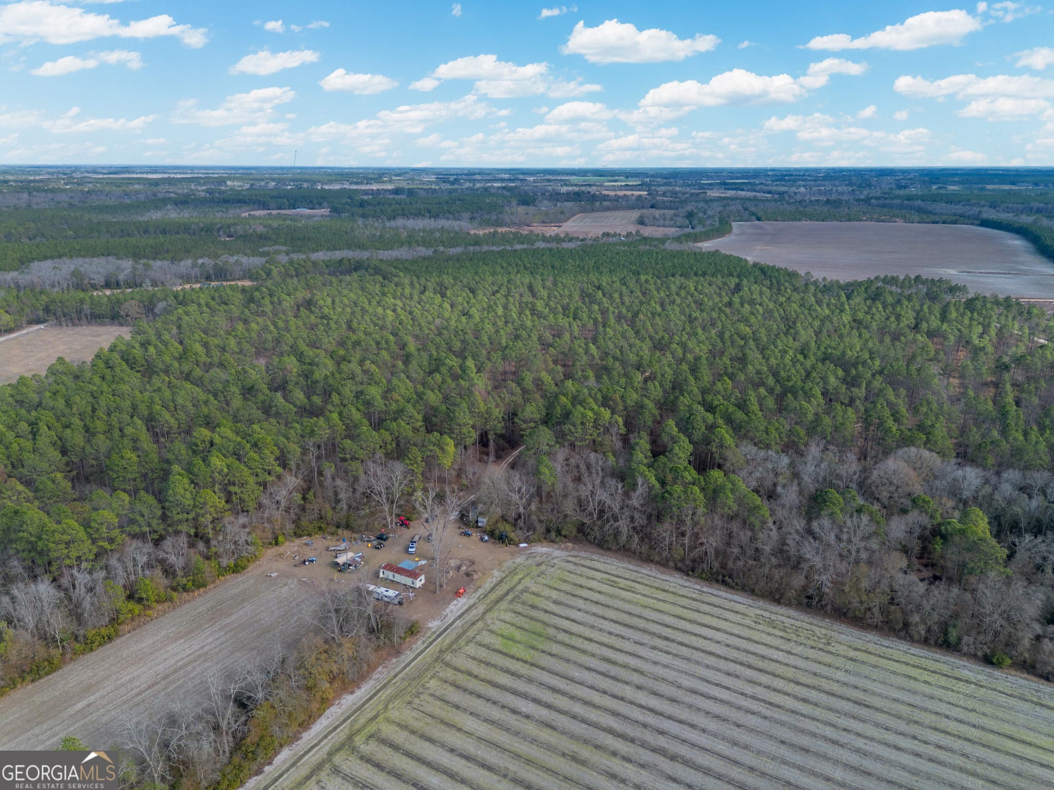 agriculture for sale at TRACT 3 Reddish Road, Odum, GA 31555 — photo 6