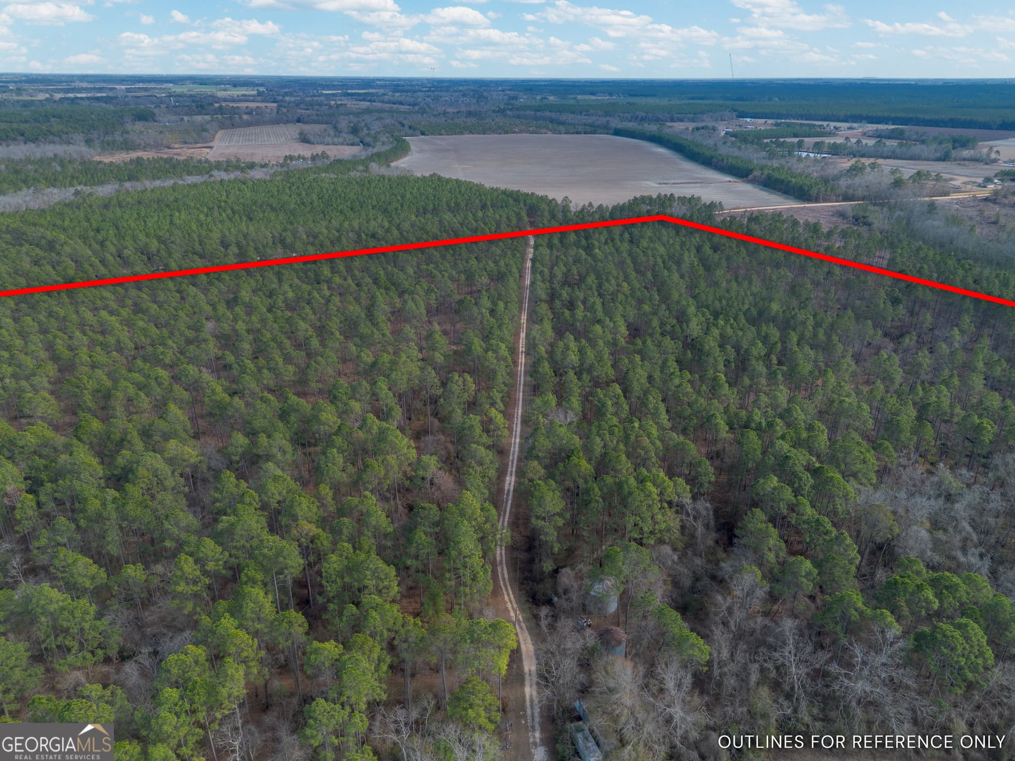 agriculture for sale at TRACT 3 Reddish Road, Odum, GA 31555 — photo 7