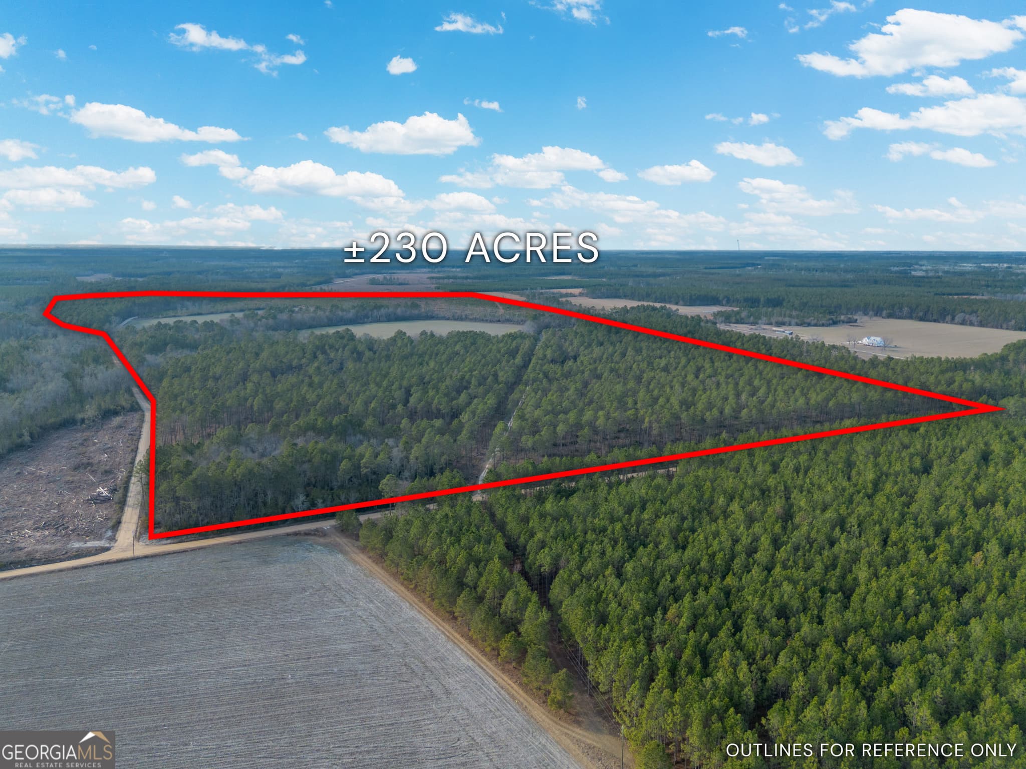 agriculture for sale at TRACT 3 Reddish Road, Odum, GA 31555 — photo 3