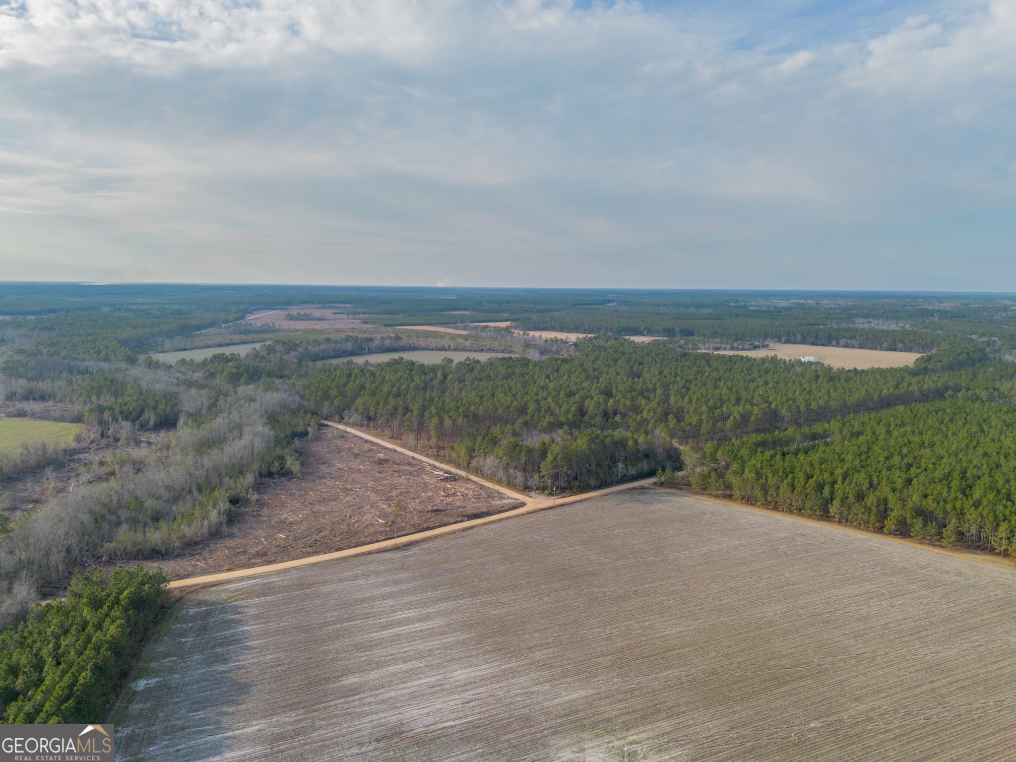 agriculture for sale at TRACT 3 Reddish Road, Odum, GA 31555