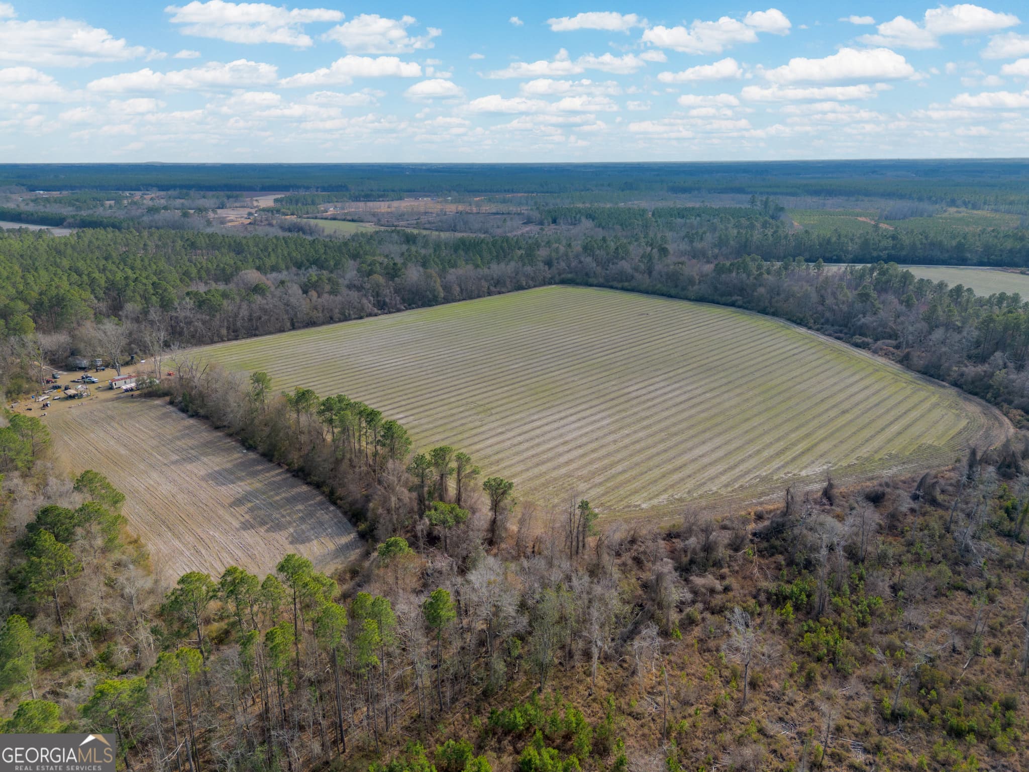agriculture for sale at TRACT 3 Reddish Road, Odum, GA 31555 — photo 9