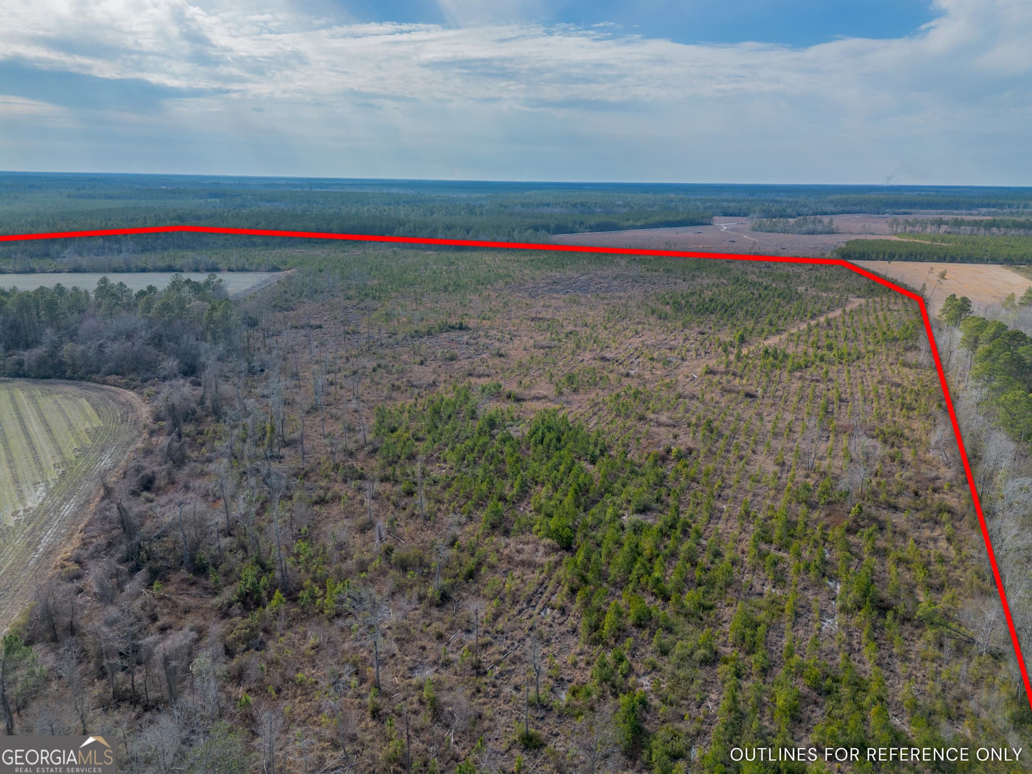 agriculture for sale at TRACT 3 Reddish Road, Odum, GA 31555 — photo 10