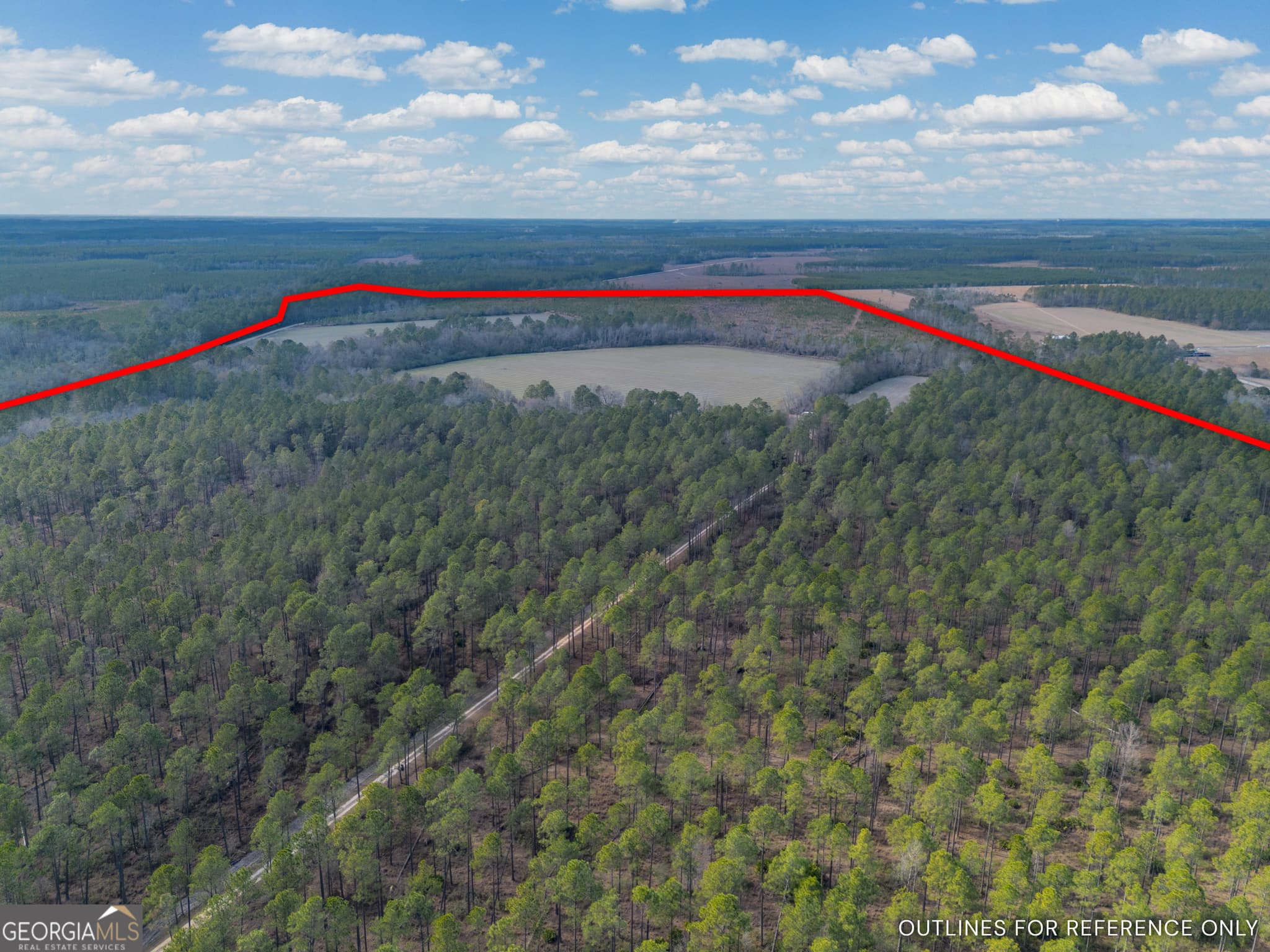 agriculture for sale at TRACT 3 Reddish Road, Odum, GA 31555 — photo 4