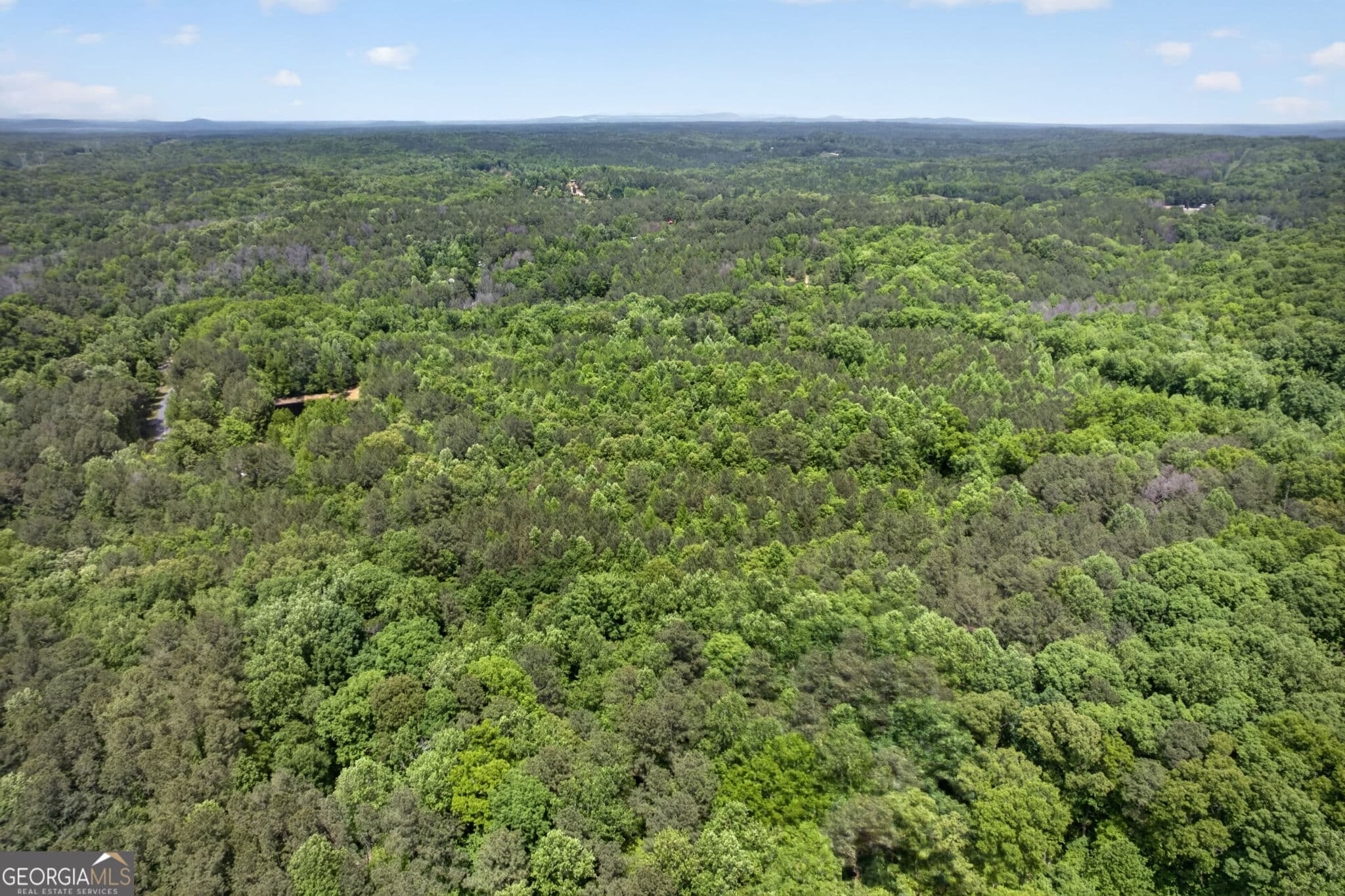unimproved land for sale at 665 Tibbitts Road, Dallas, GA 30132 — photo 3