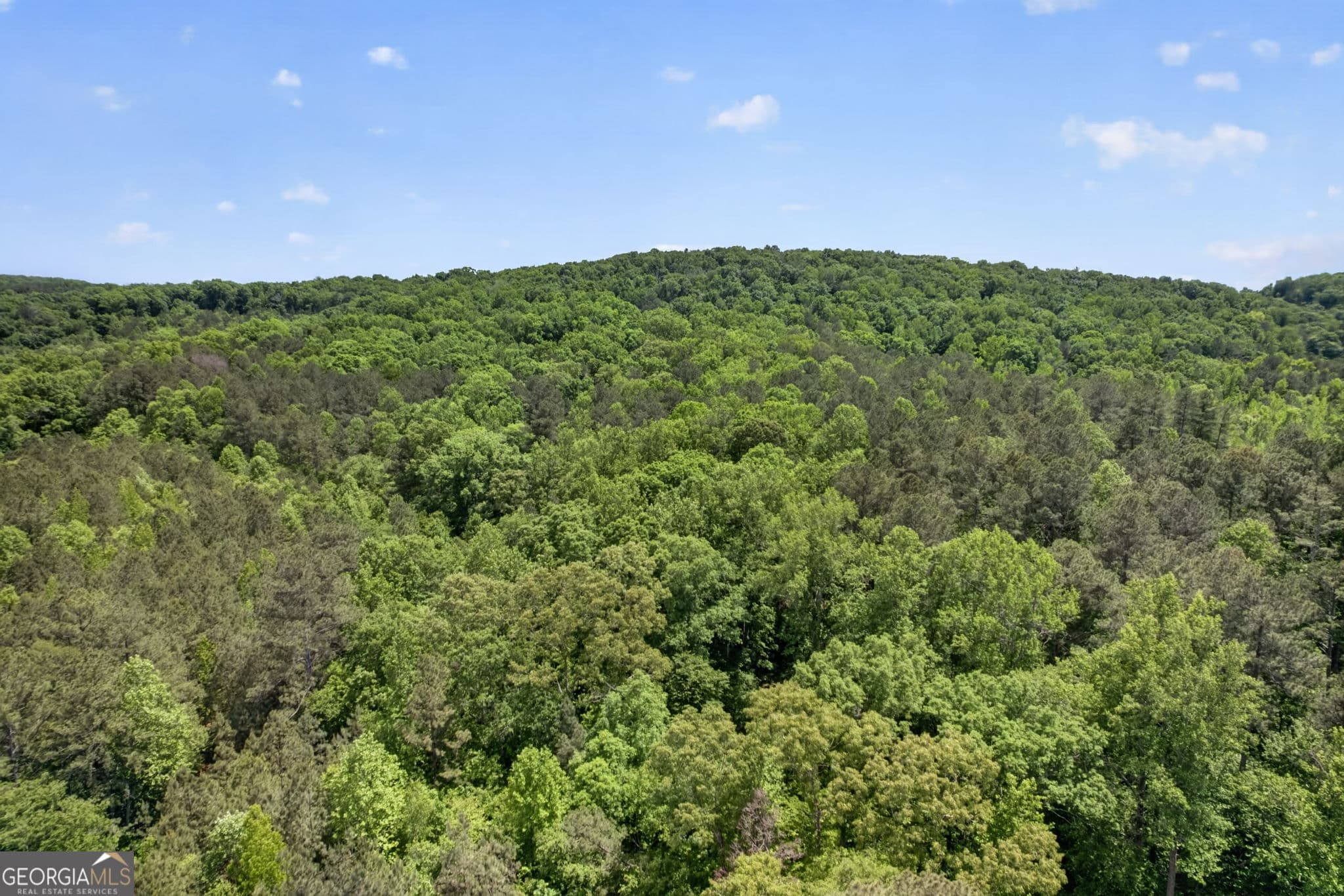 unimproved land for sale at 665 Tibbitts Road, Dallas, GA 30132 — photo 9