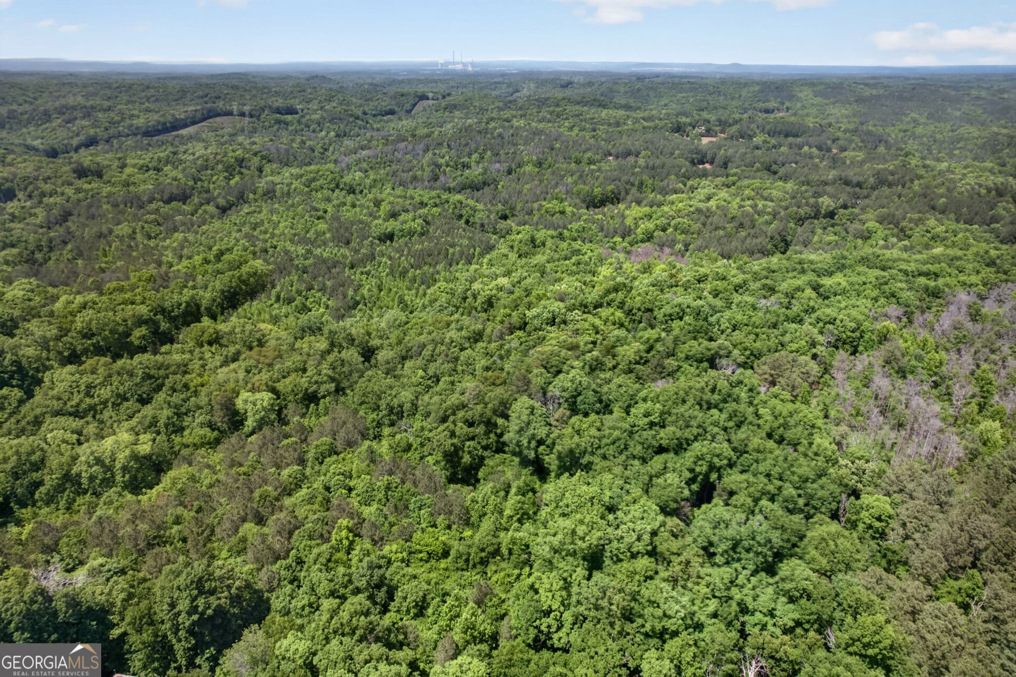 unimproved land for sale at 665 Tibbitts Road, Dallas, GA 30132 — photo 10