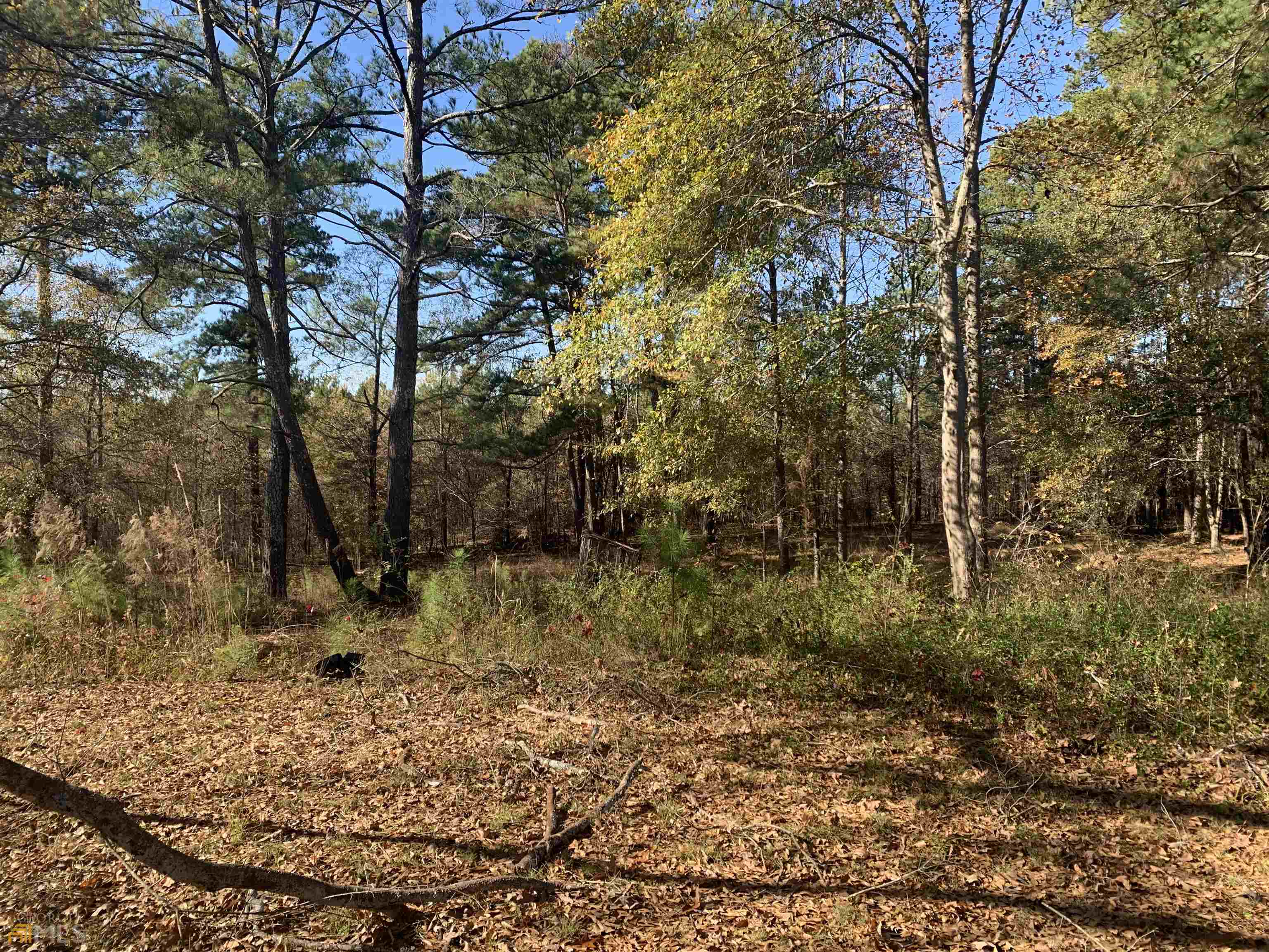 3 bedroom, 2 bathroom single family residence for sale at 10142 Washington Street, Covington, GA 30014 — photo 8