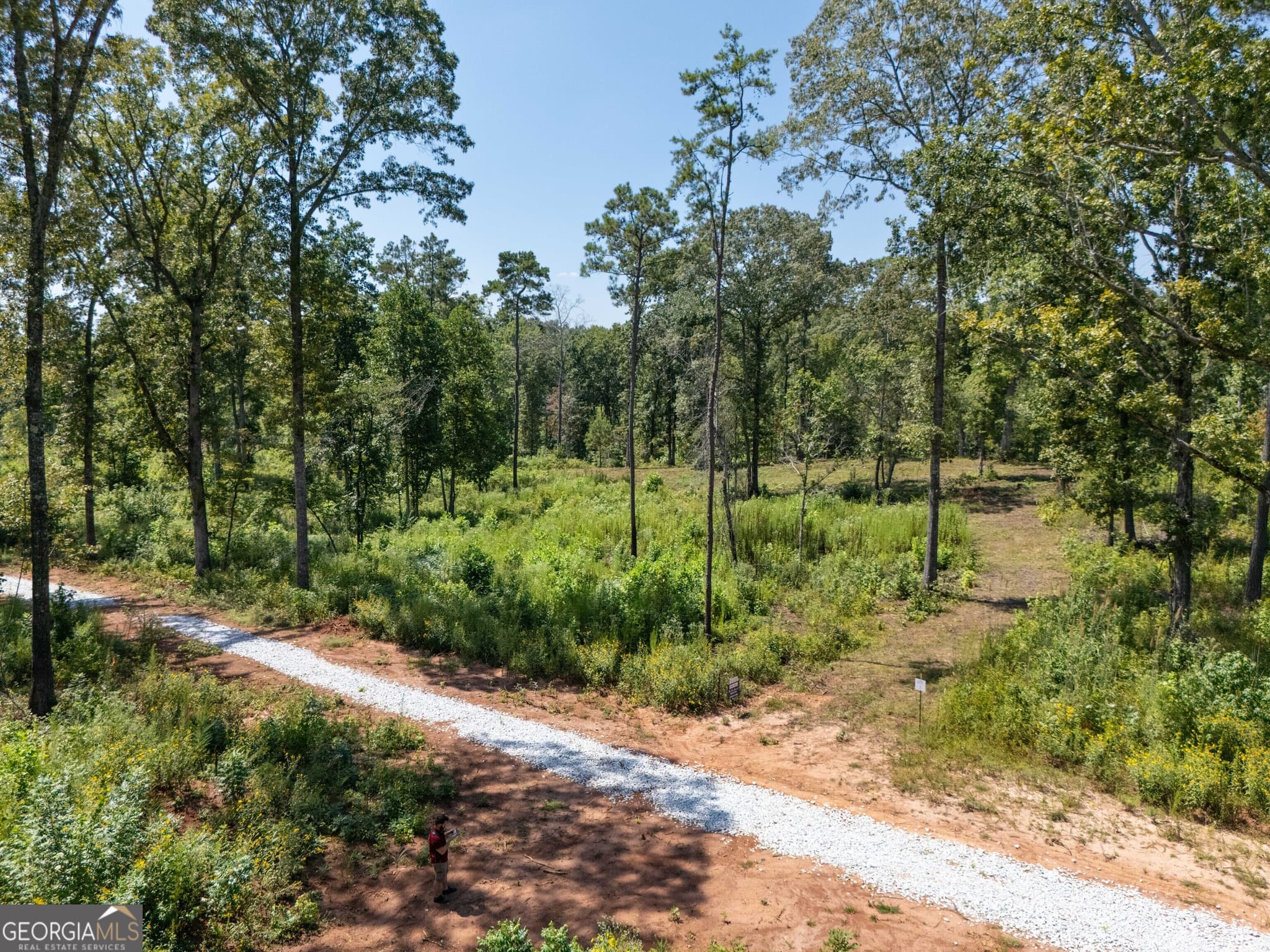 estate lot for sale at 0 Hwy 100 1 SADIE PLACE, Franklin, GA 30217 — photo 9
