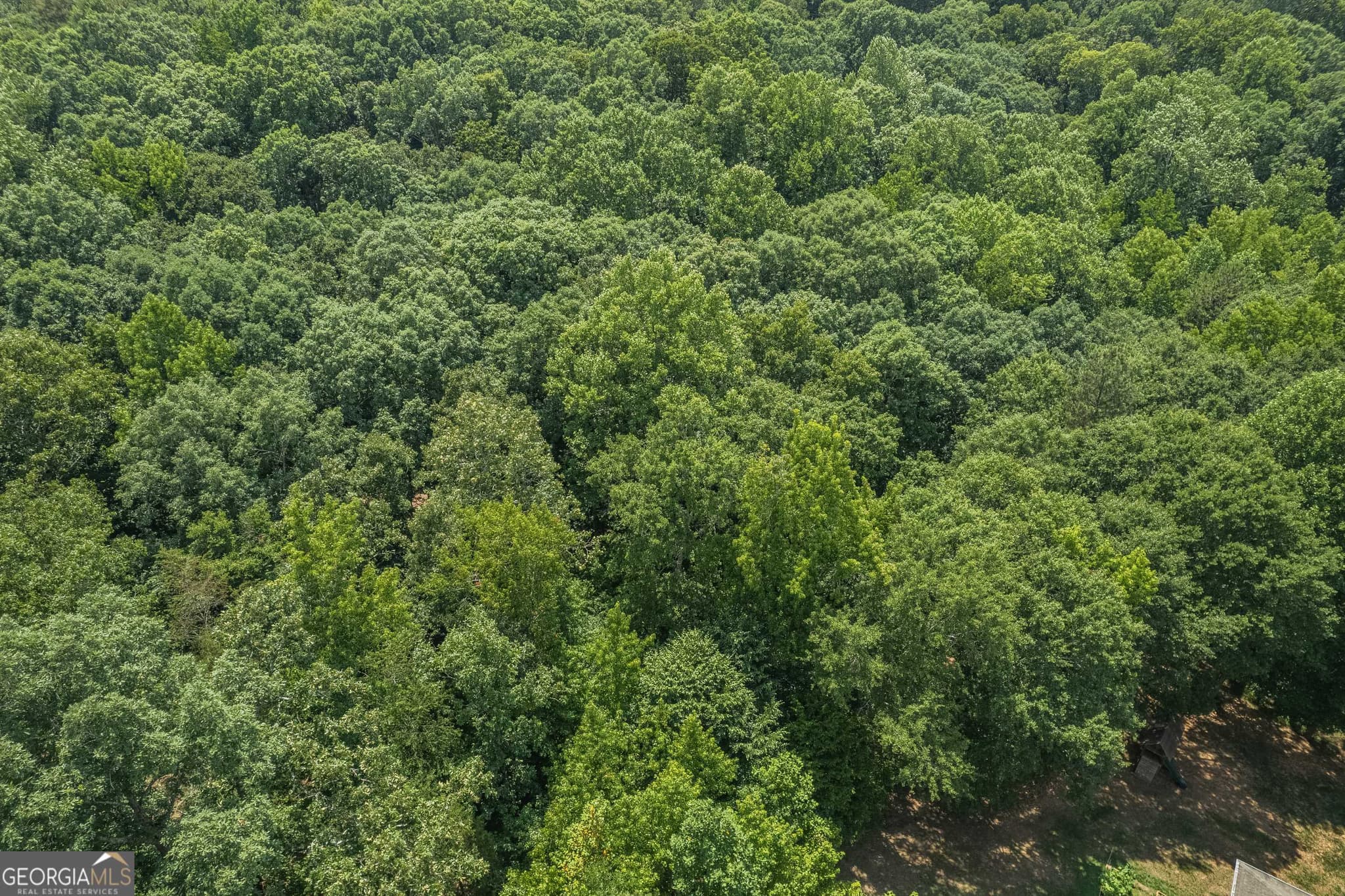 residential lot for sale at 0 Harper Lane, Royston, GA 30662 — photo 8
