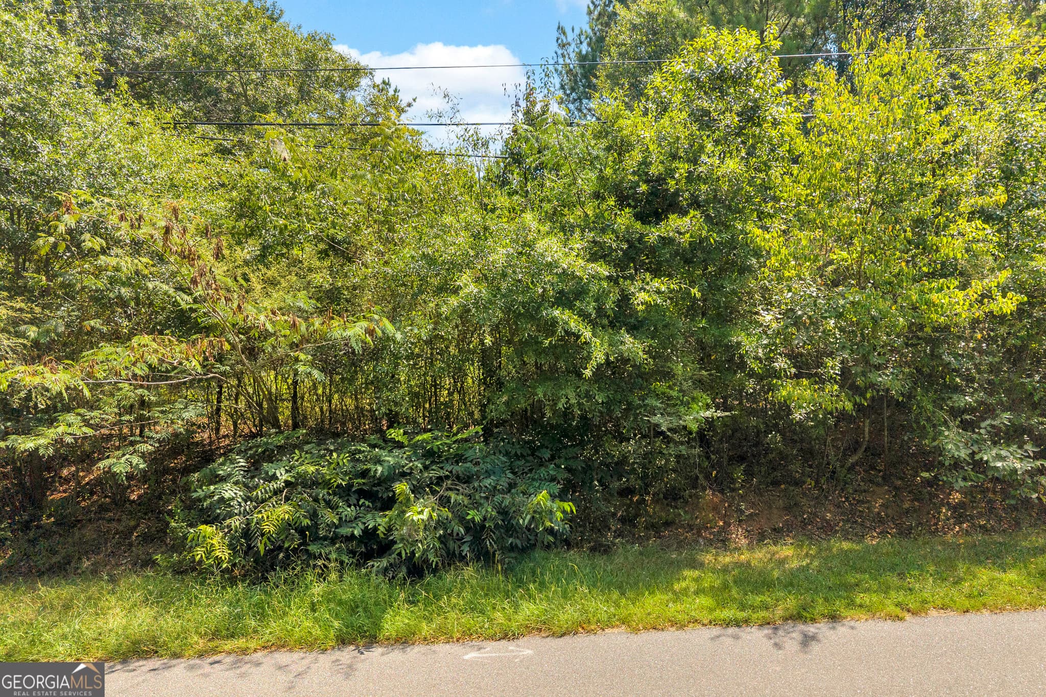 residential lot for sale at 0 Poplar Road, Commerce, GA 30529 — photo 6