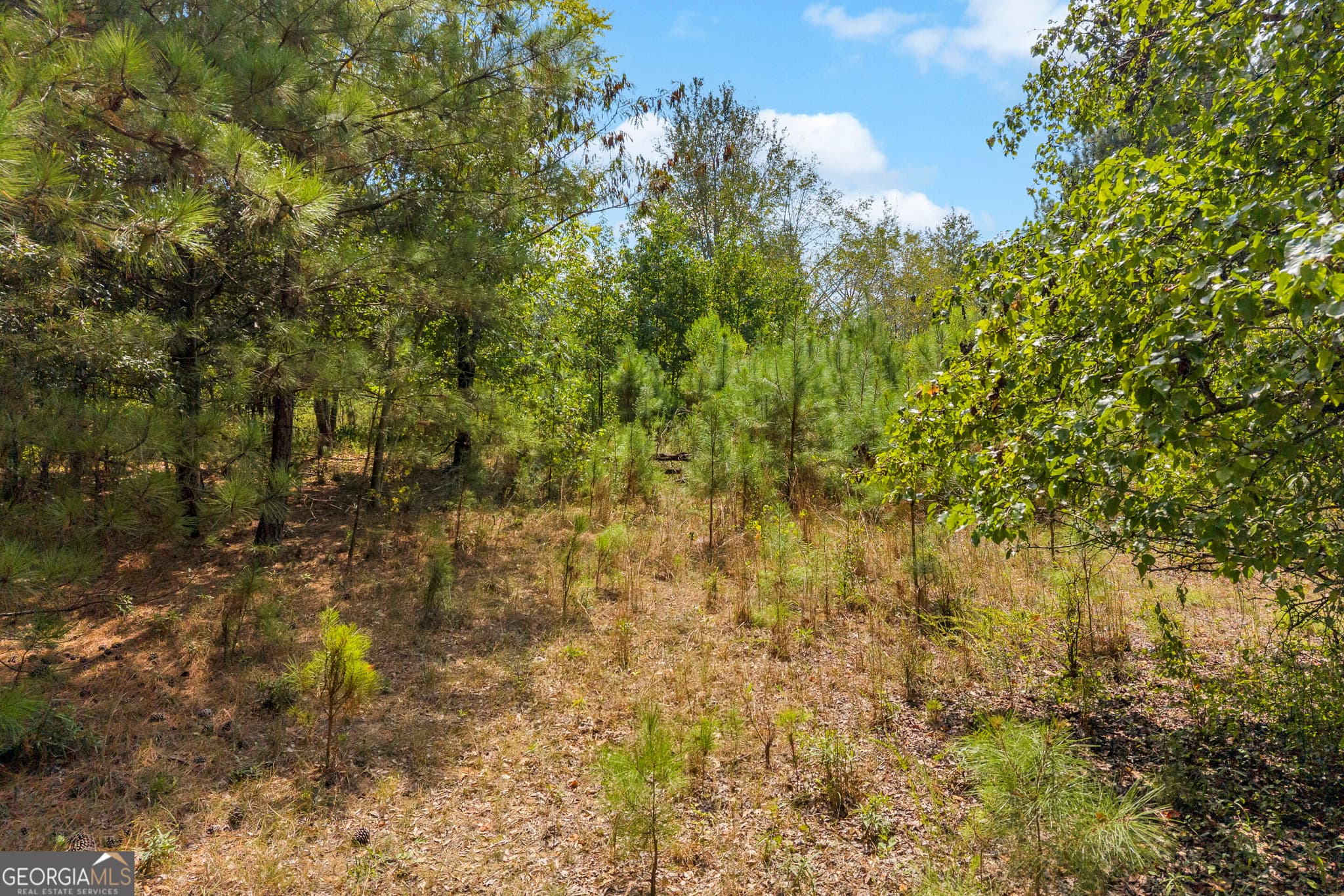 residential lot for sale at 0 Poplar Road, Commerce, GA 30529 — photo 7