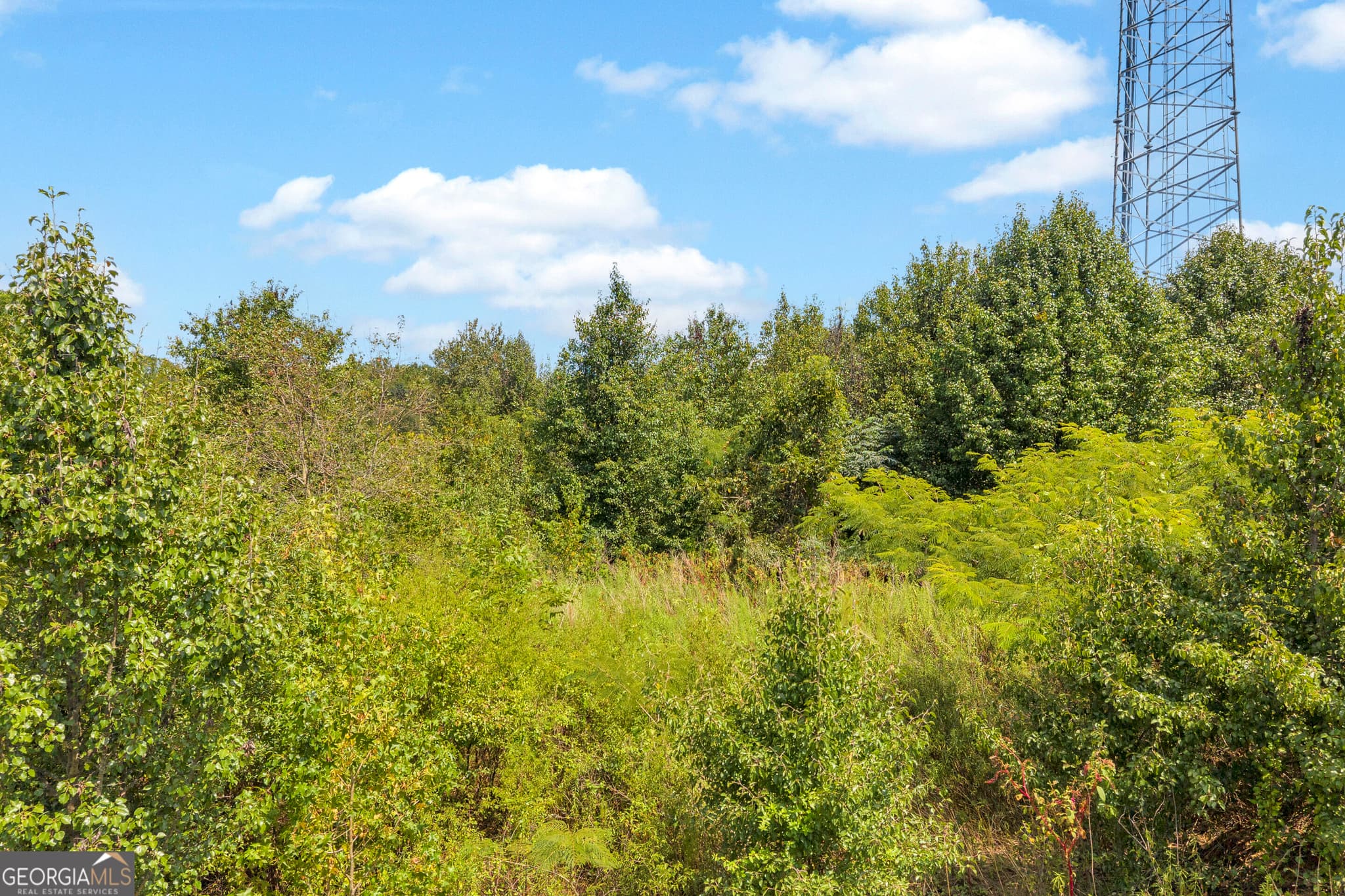 residential lot for sale at 0 Poplar Road, Commerce, GA 30529 — photo 9