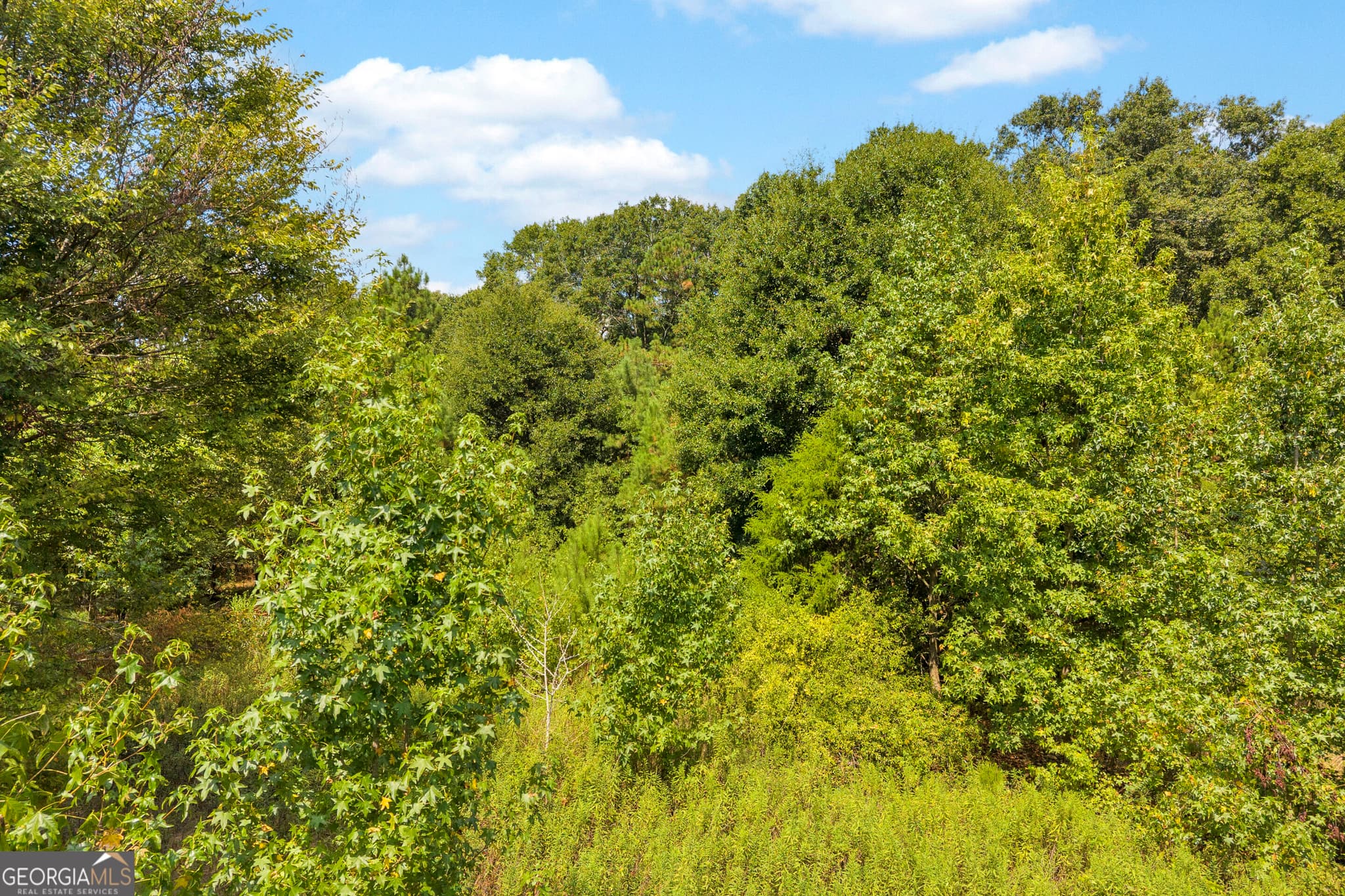 residential lot for sale at 0 Poplar Road, Commerce, GA 30529 — photo 10