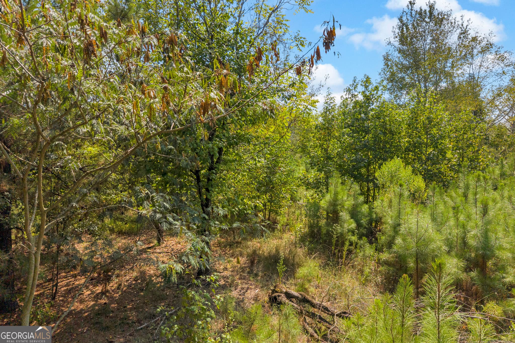residential lot for sale at 0 Poplar Road, Commerce, GA 30529 — photo 8