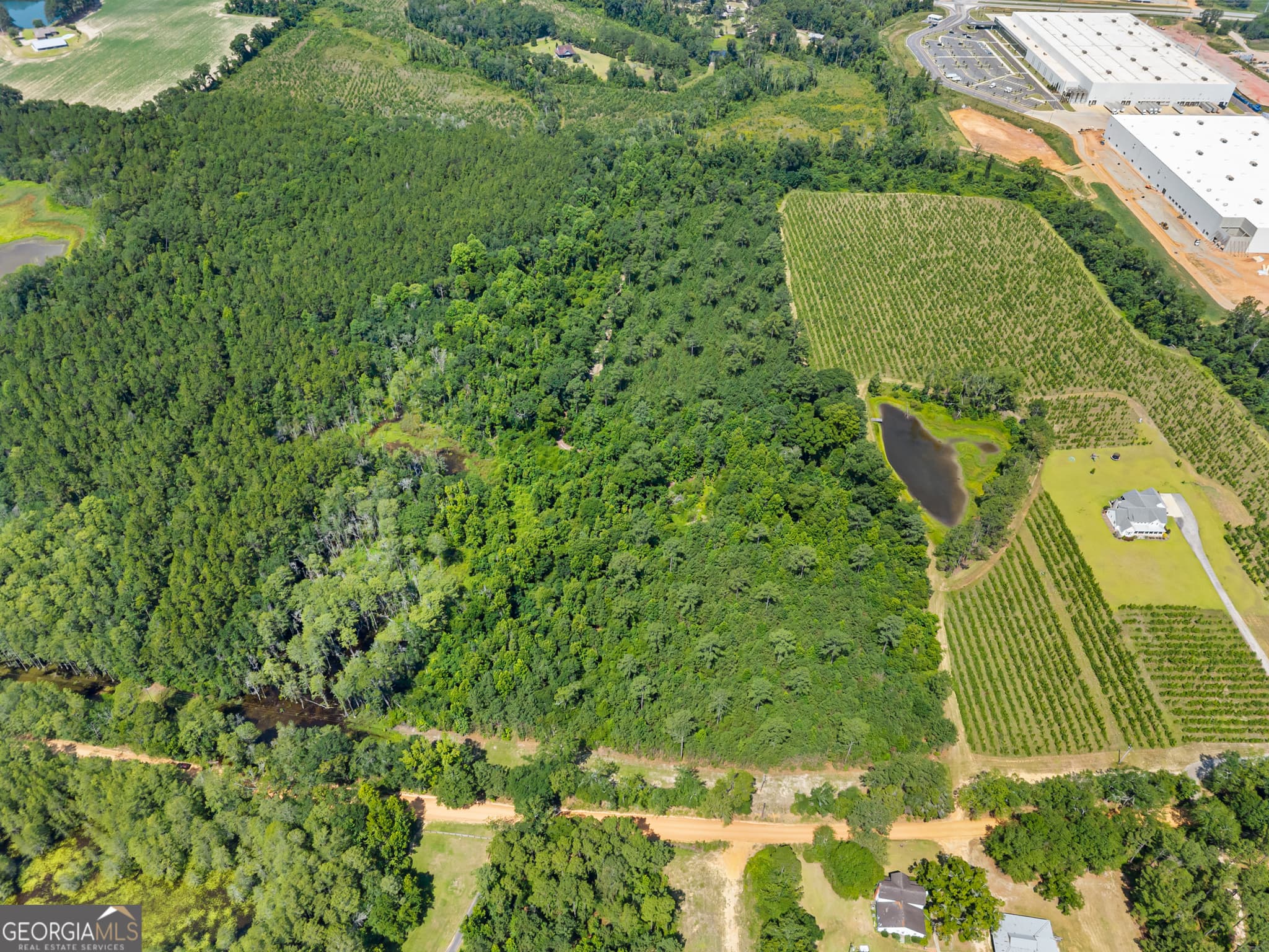 unimproved land for sale at 0 Jo Dan Road, Register, GA 30452 — photo 2