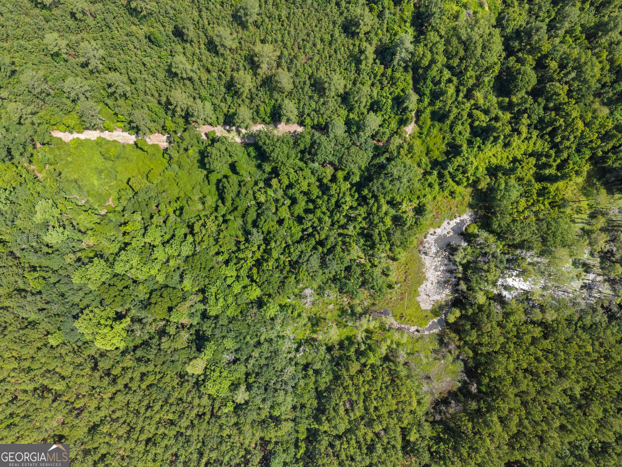 unimproved land for sale at 0 Jo Dan Road, Register, GA 30452 — photo 6