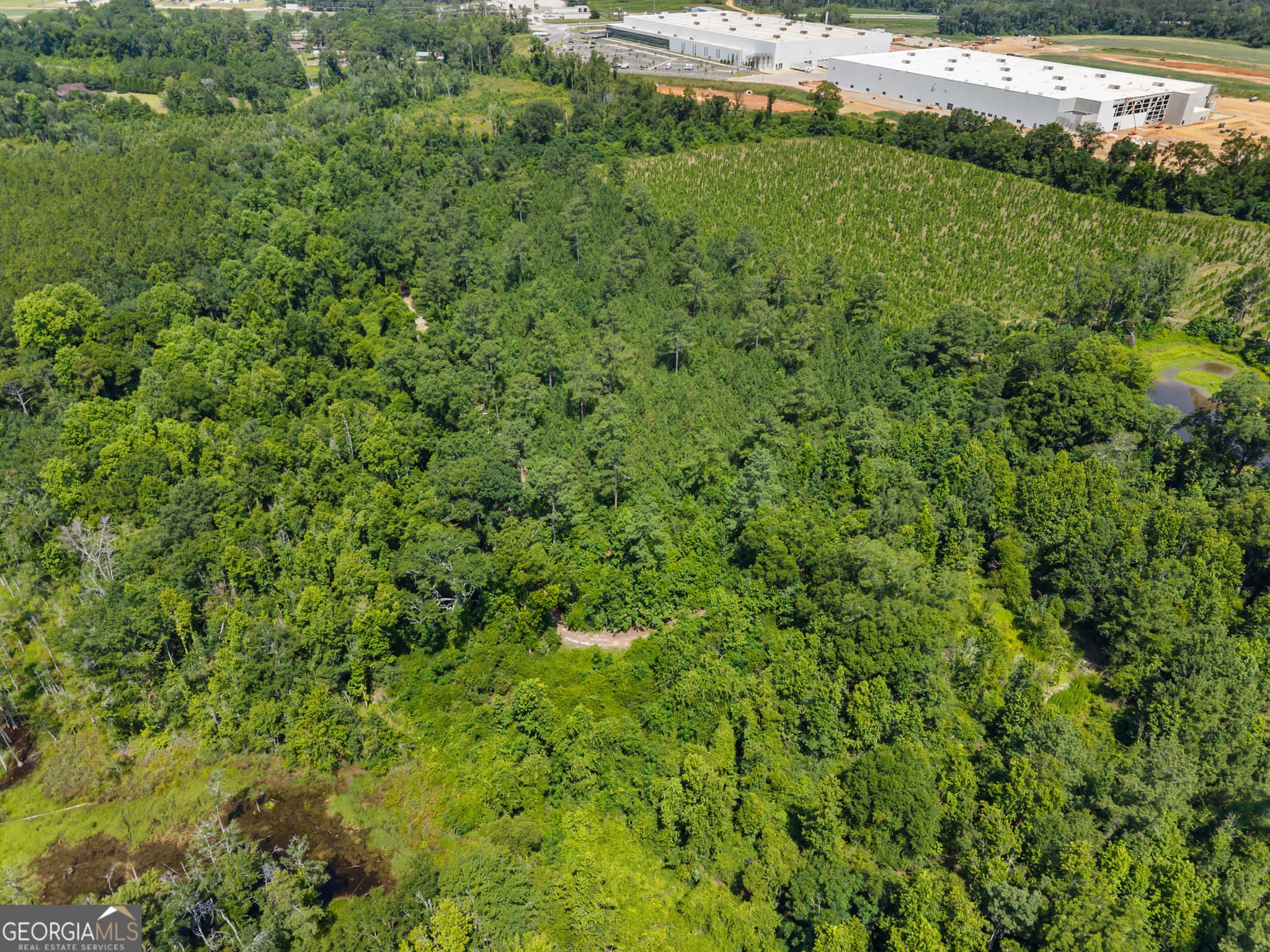 unimproved land for sale at 0 Jo Dan Road, Register, GA 30452 — photo 7