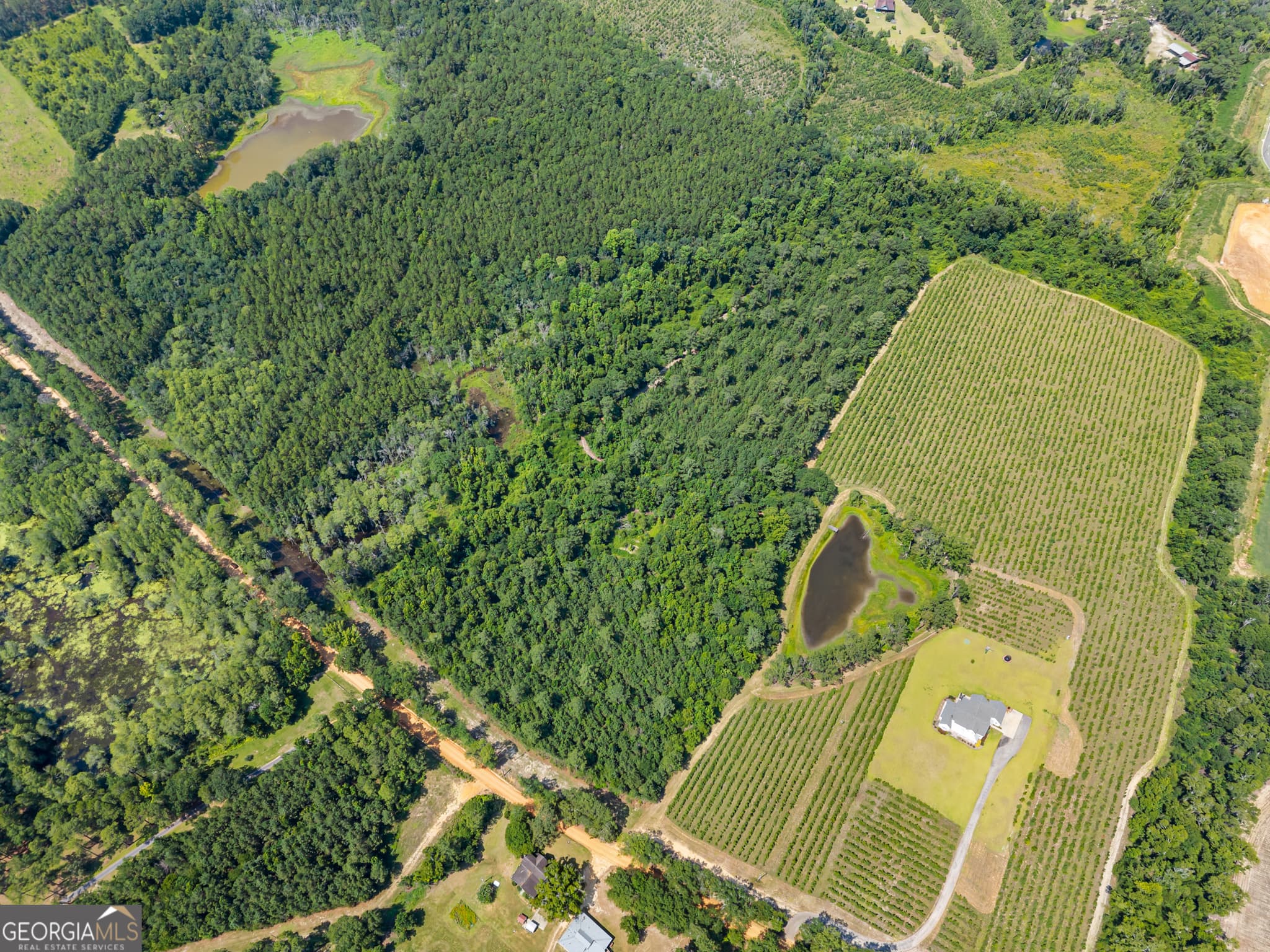 unimproved land for sale at 0 Jo Dan Road, Register, GA 30452 — photo 3