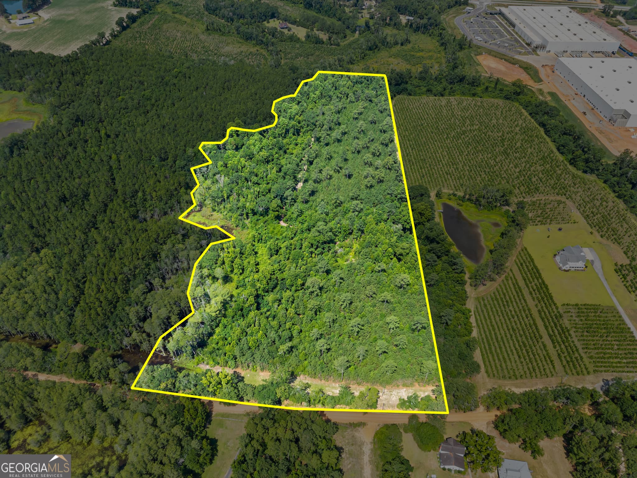 unimproved land for sale at 0 Jo Dan Road, Register, GA 30452 — photo 1 of 8