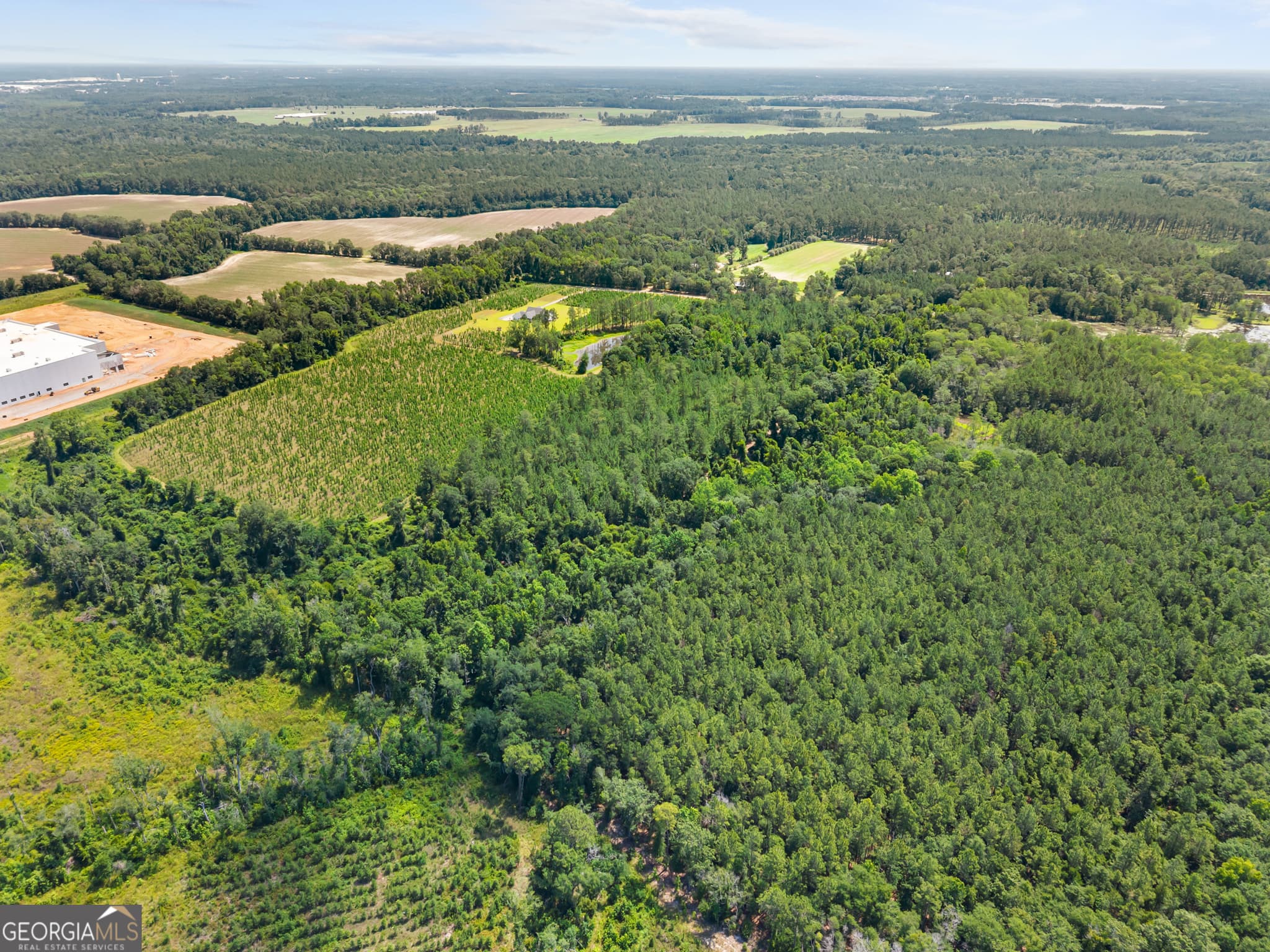 unimproved land for sale at 0 Jo Dan Road, Register, GA 30452 — photo 5