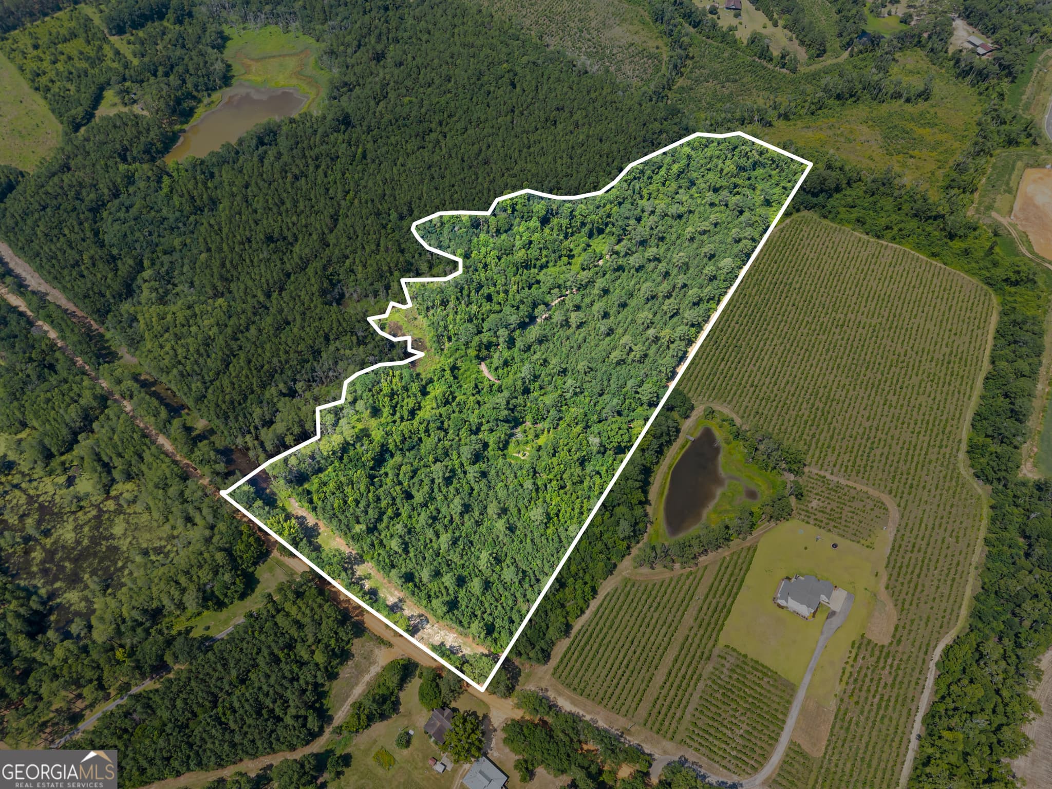 unimproved land for sale at 0 Jo Dan Road, Register, GA 30452 — photo 8