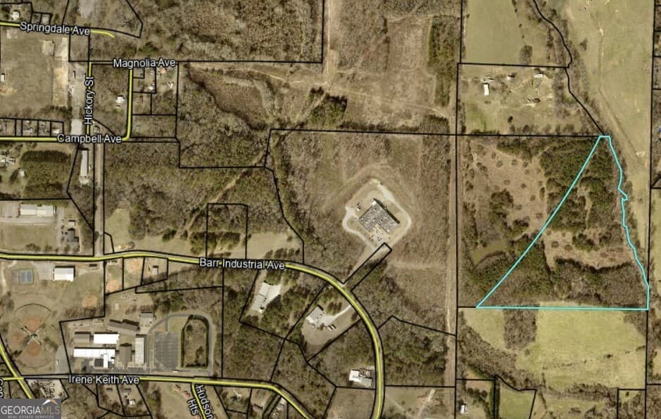 residential lot for sale at 400/460 Sally Ann Circle, Bowdon, GA 30108 — photo 2