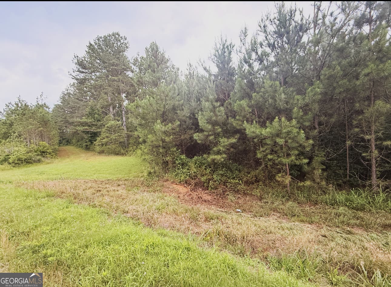 unimproved land for sale at 0 County Road 40, Fruithurst, AL 36262 — photo 2