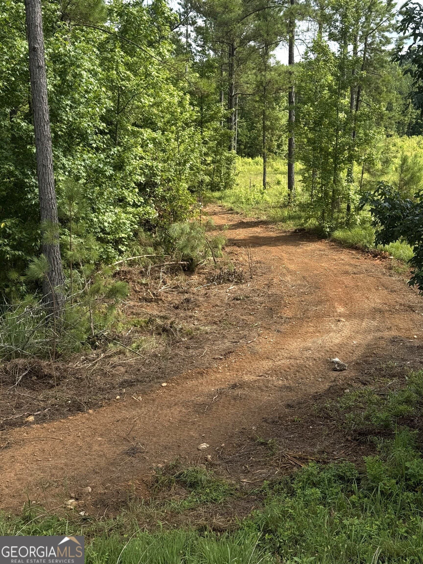 unimproved land for sale at 0 County Road 40, Fruithurst, AL 36262 — photo 6