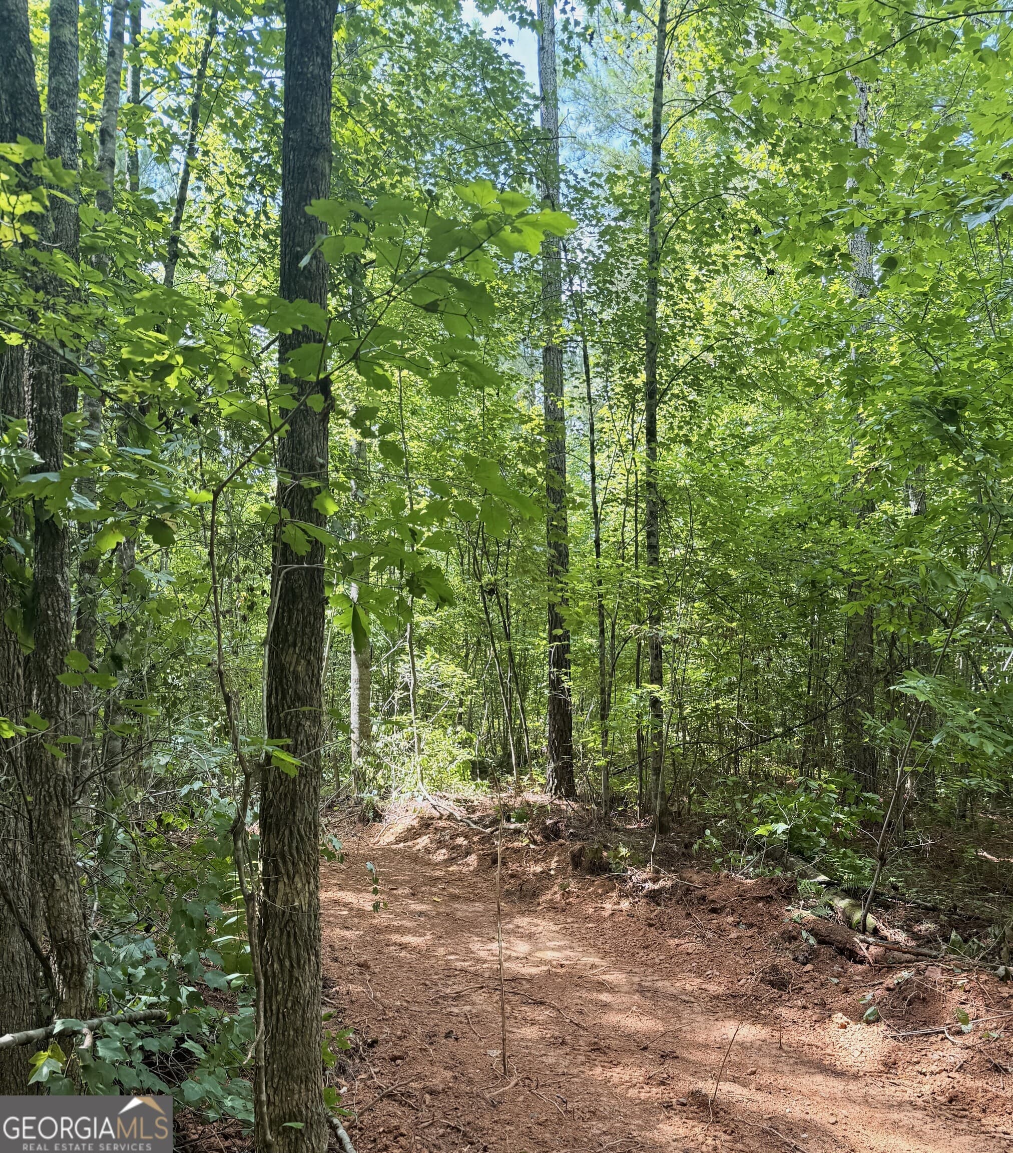 unimproved land for sale at 0 County Road 40, Fruithurst, AL 36262 — photo 7
