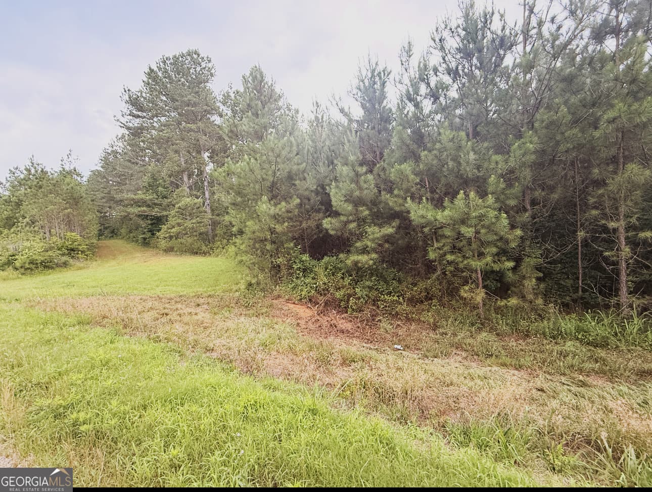 unimproved land for sale at 0 County Road 40, Fruithurst, AL 36262 — photo 3