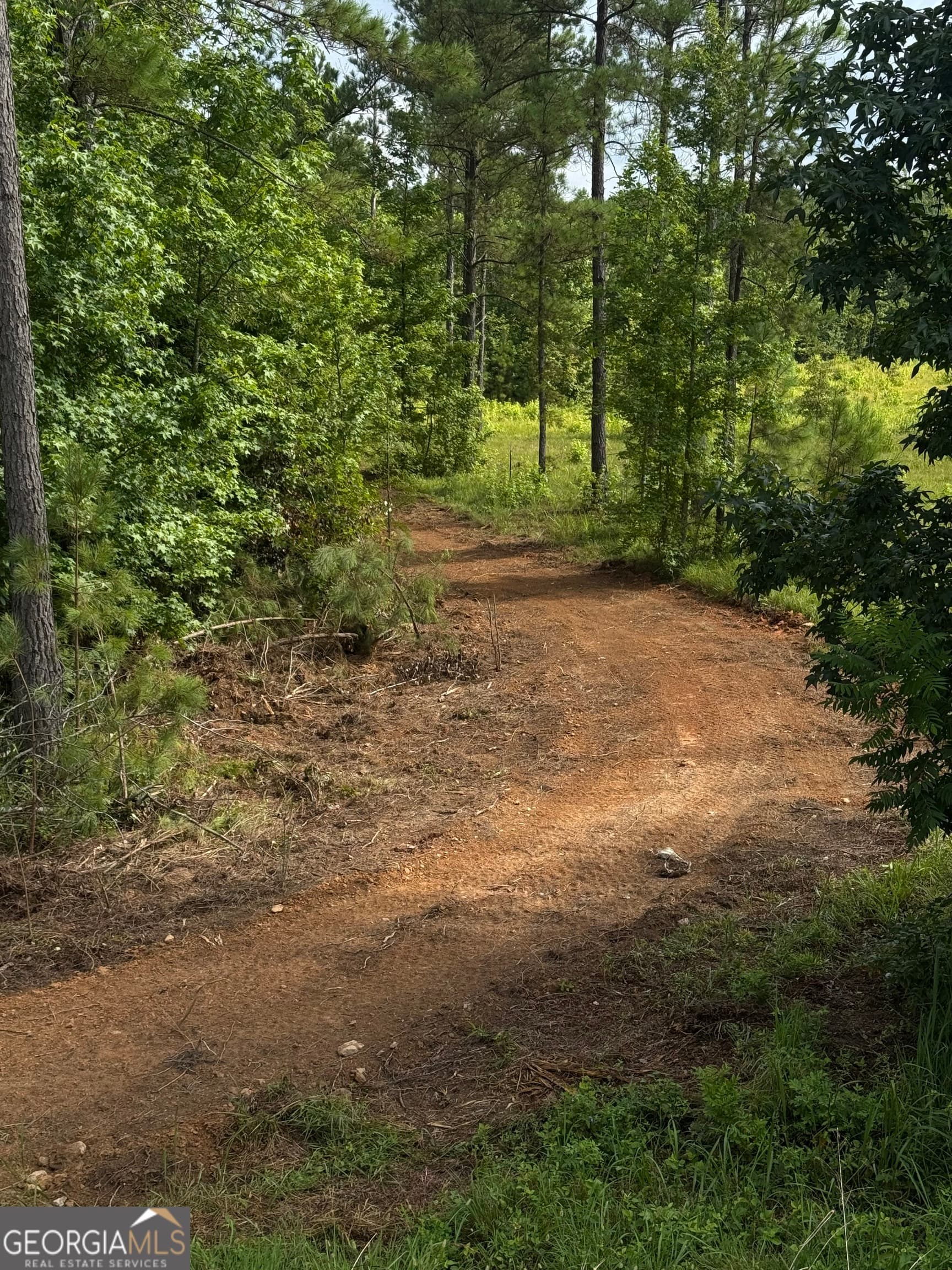 unimproved land for sale at 0 County Road 40, Fruithurst, AL 36262 — photo 5