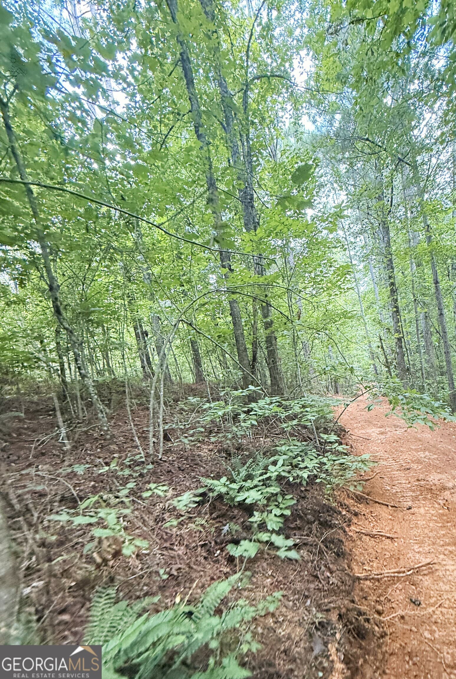 unimproved land for sale at 0 County Road 40, Fruithurst, AL 36262 — photo 10